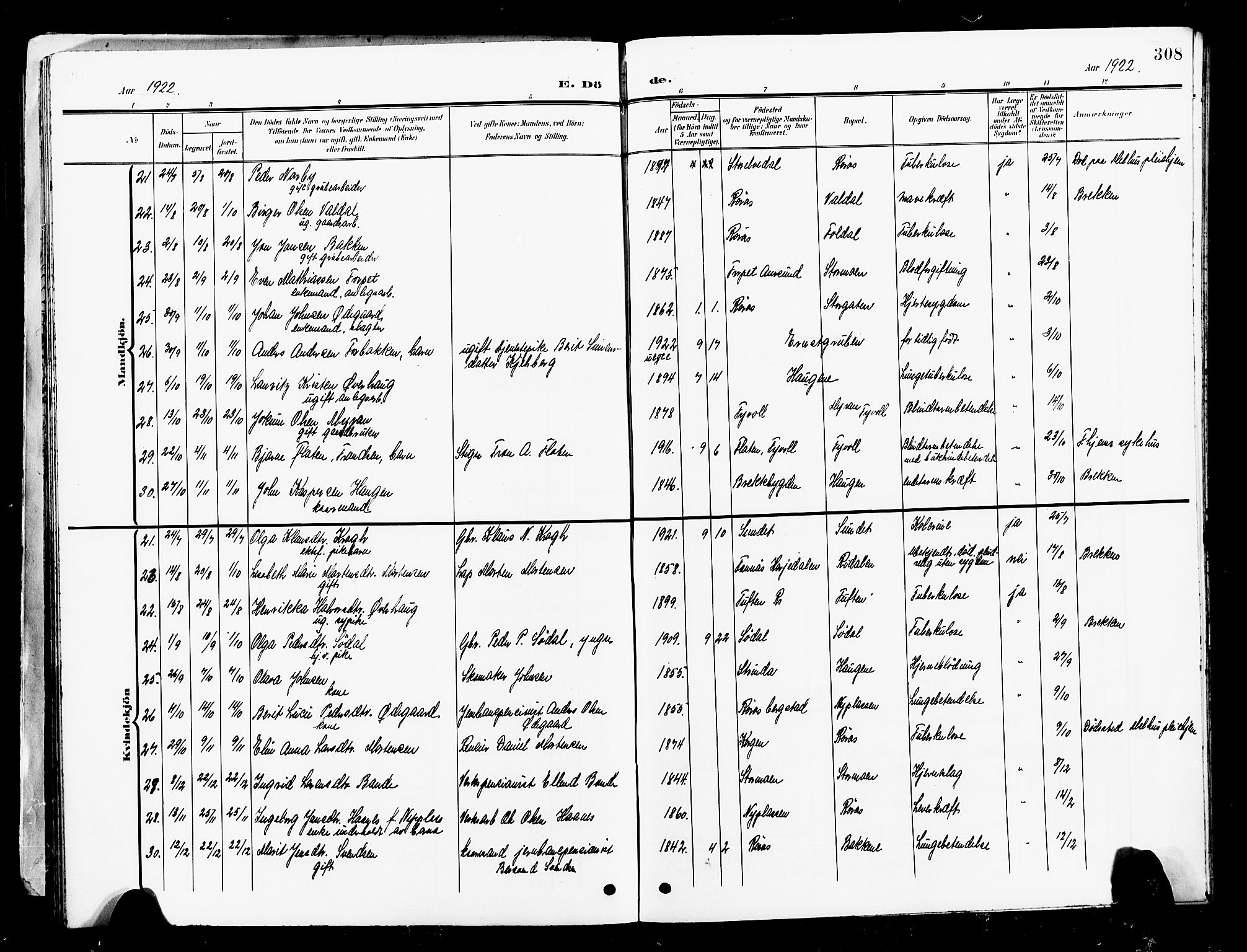 Ministerialprotokoller, klokkerbøker og fødselsregistre - Sør-Trøndelag, SAT/A-1456/681/L0942: Klokkerbok nr. 681C06, 1906-1925, s. 308