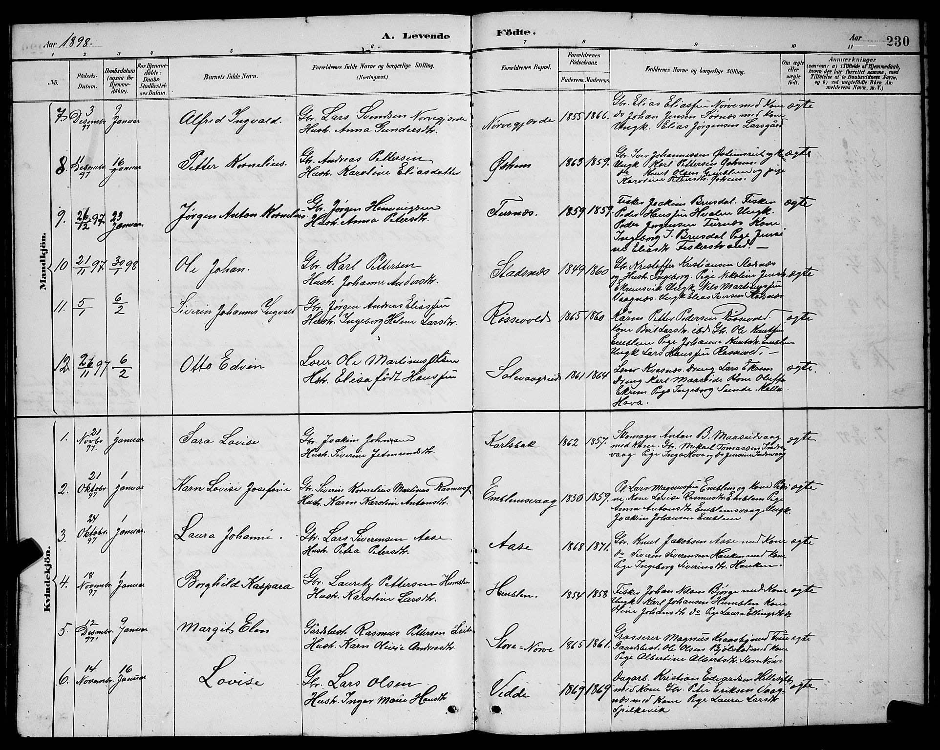 Ministerialprotokoller, klokkerbøker og fødselsregistre - Møre og Romsdal, AV/SAT-A-1454/528/L0431: Klokkerbok nr. 528C12, 1885-1898, s. 230