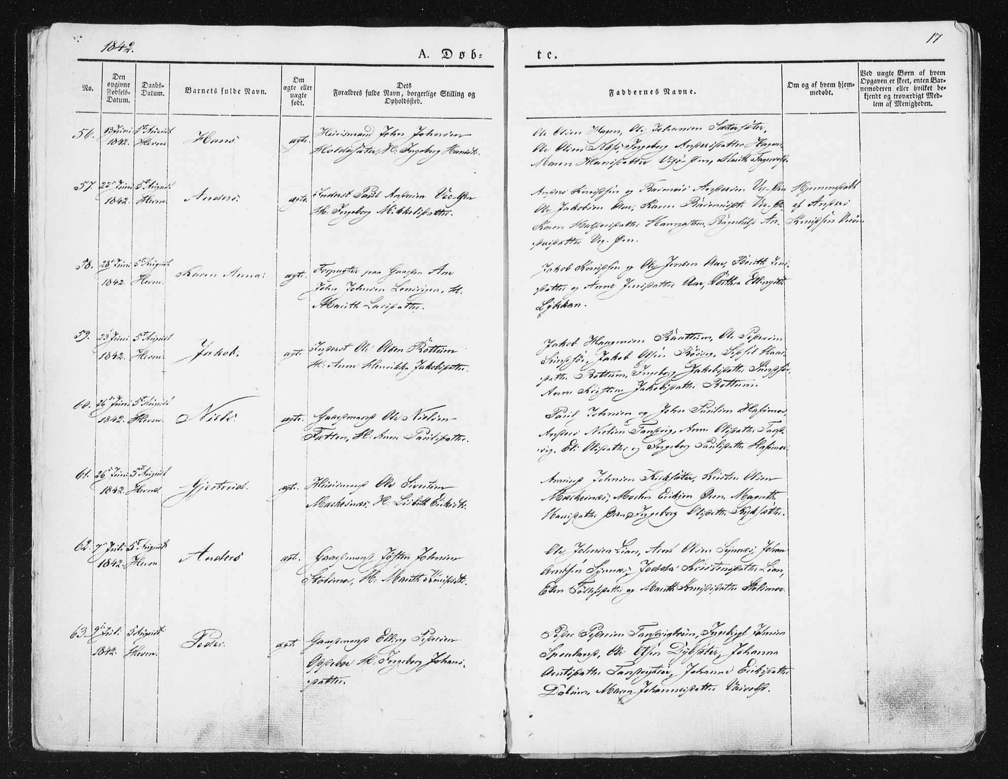 Ministerialprotokoller, klokkerbøker og fødselsregistre - Sør-Trøndelag, AV/SAT-A-1456/630/L0493: Ministerialbok nr. 630A06, 1841-1851, s. 17