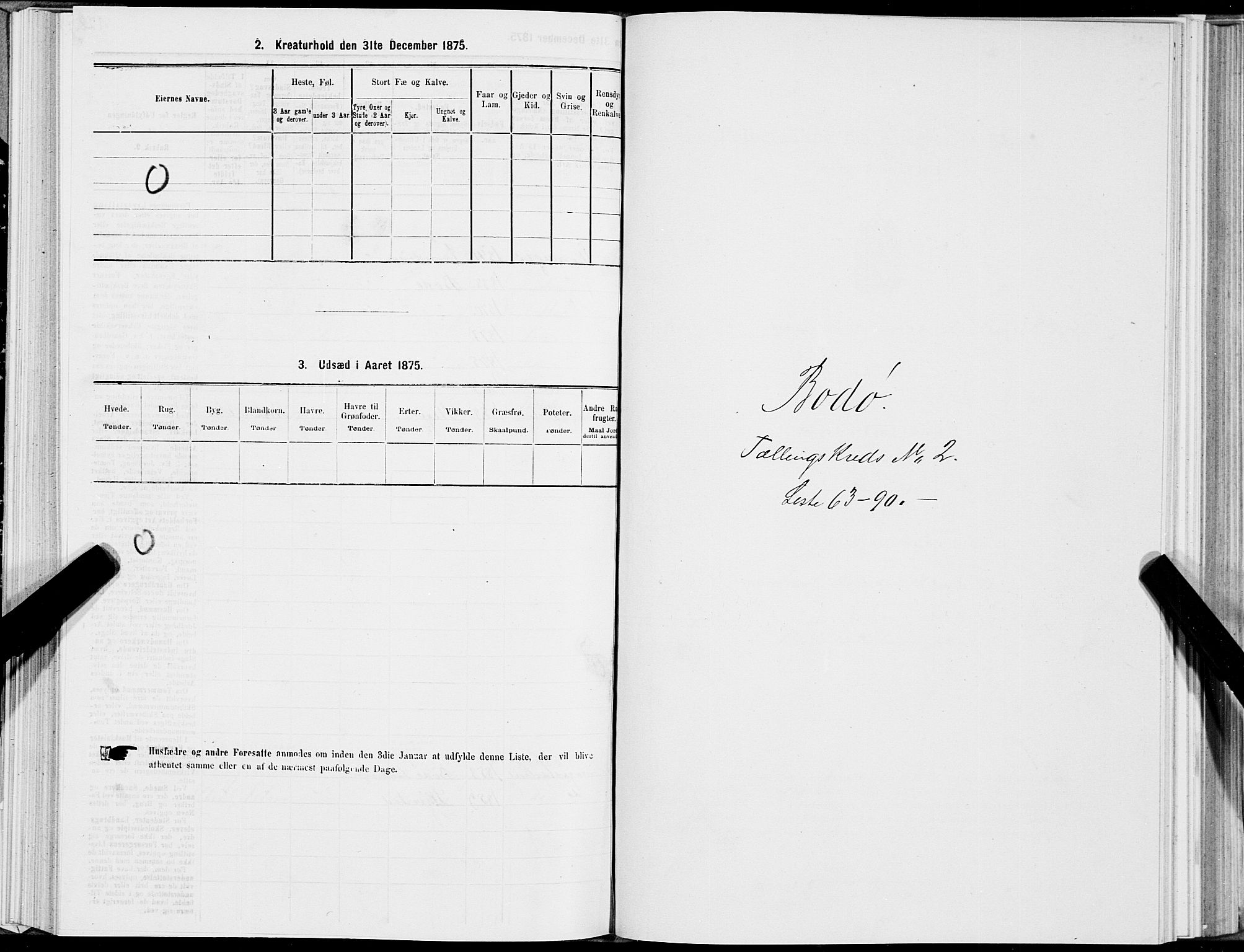 SAT, Folketelling 1875 for 1804B Bodø prestegjeld, Bodø kjøpstad, 1875