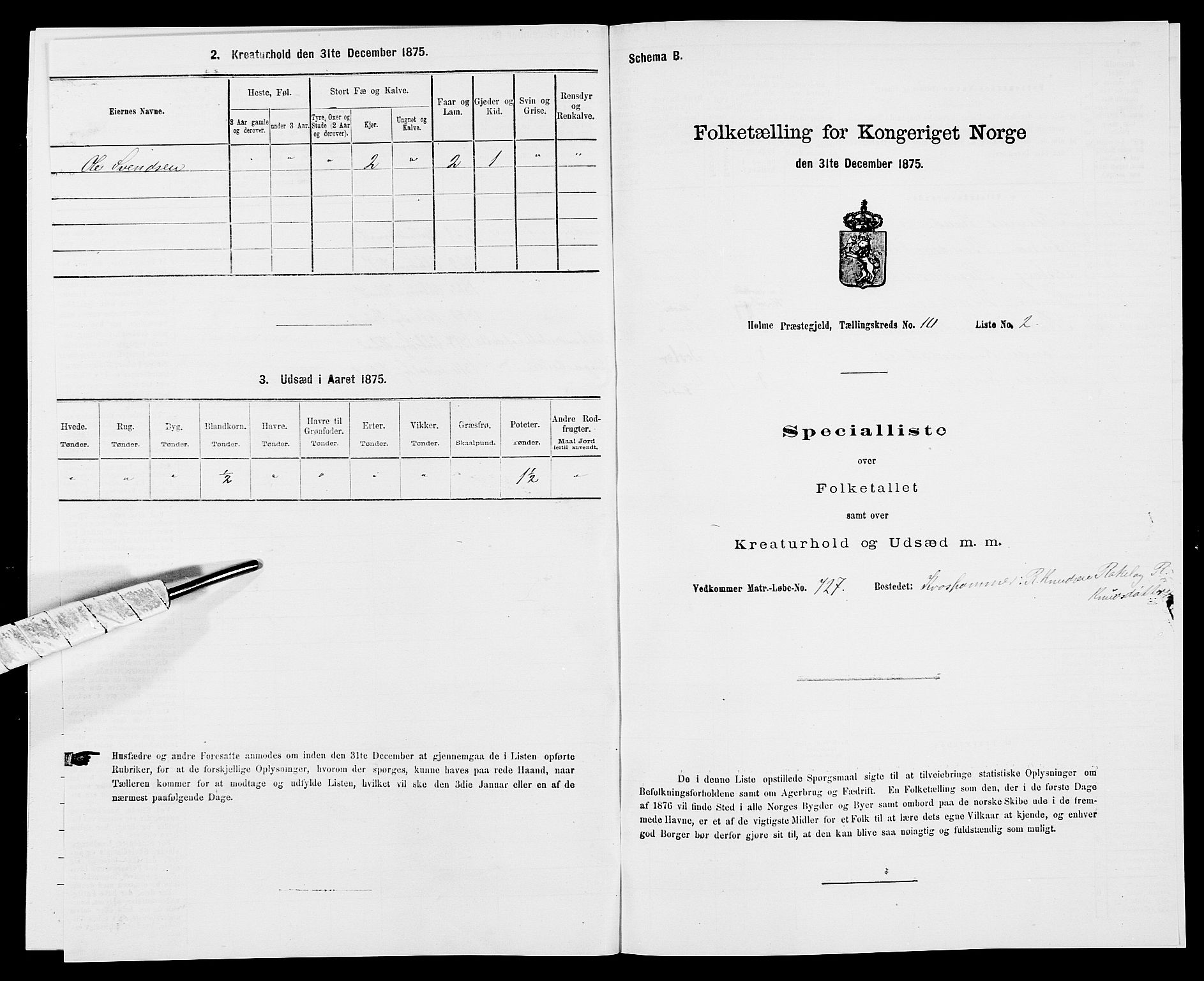 SAK, Folketelling 1875 for 1020P Holum prestegjeld, 1875, s. 1058