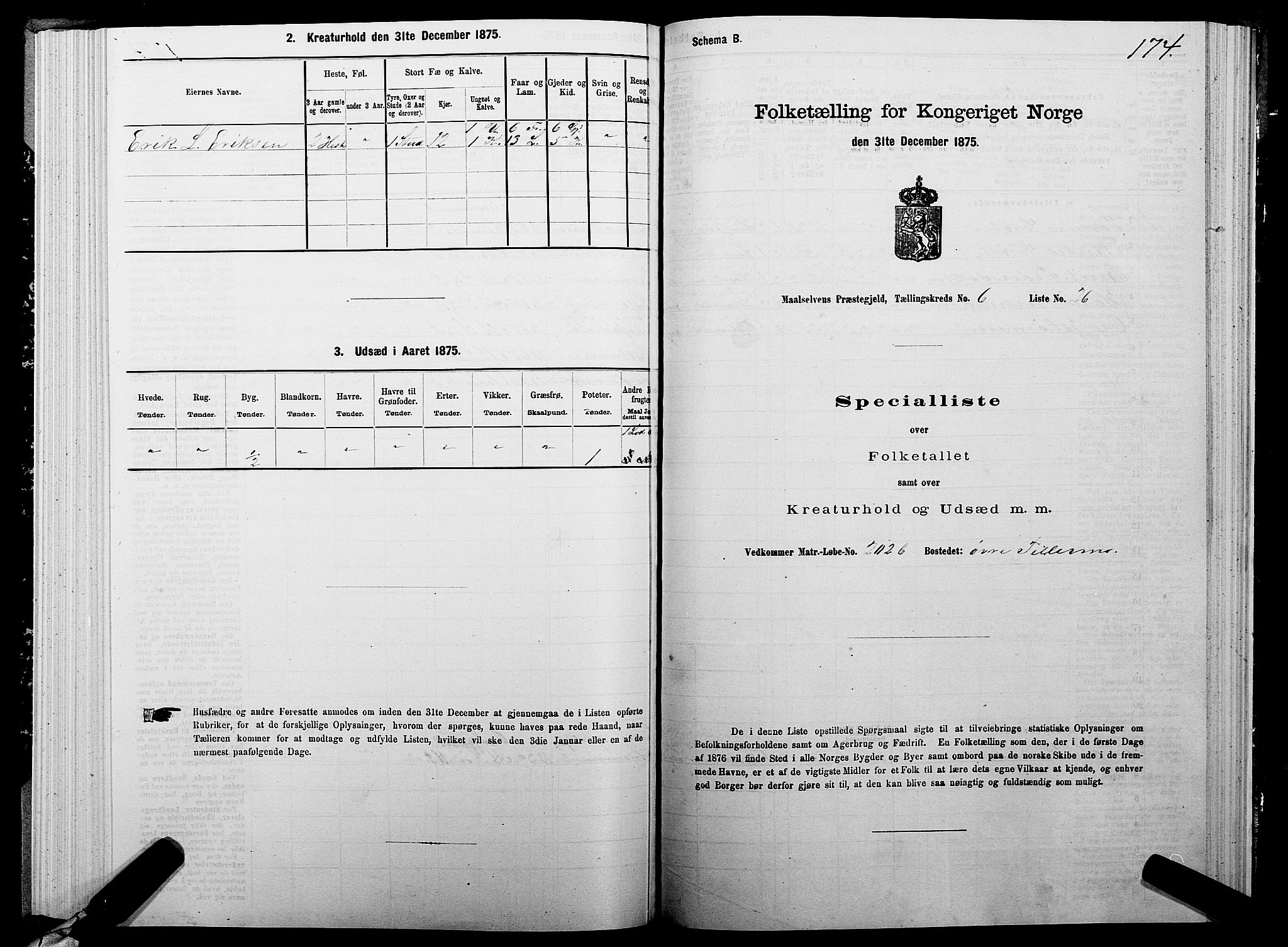 SATØ, Folketelling 1875 for 1924P Målselv prestegjeld, 1875, s. 3174