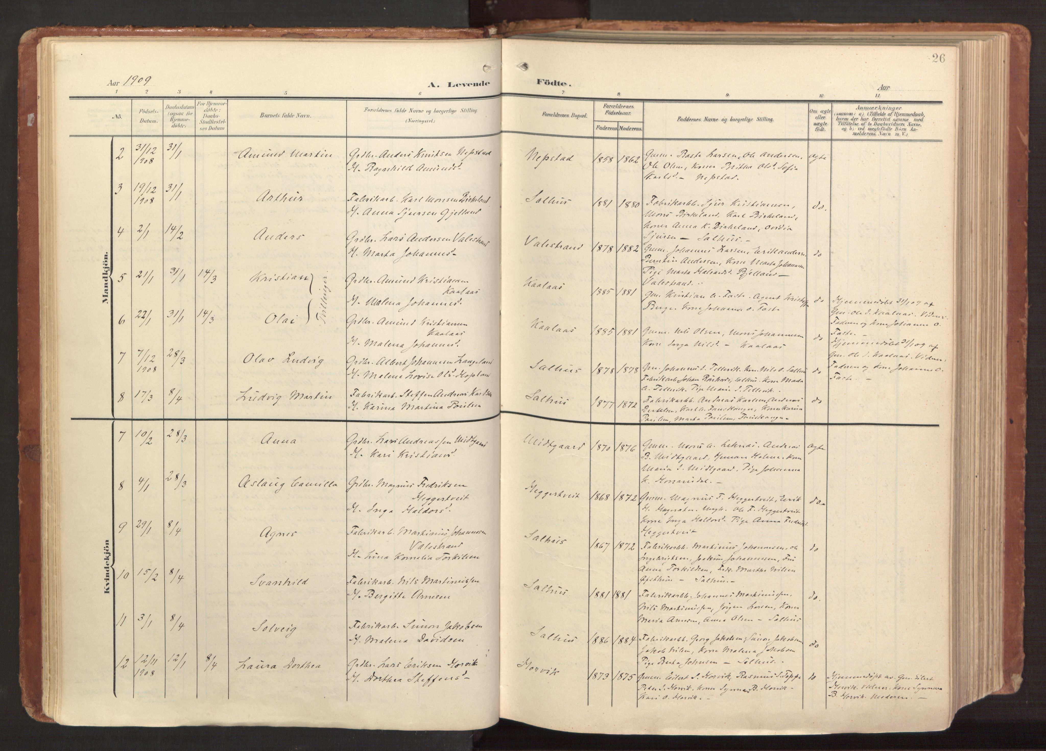 Hamre sokneprestembete, AV/SAB-A-75501/H/Ha/Haa/Haab/L0002: Ministerialbok nr. B 2, 1905-1924, s. 26