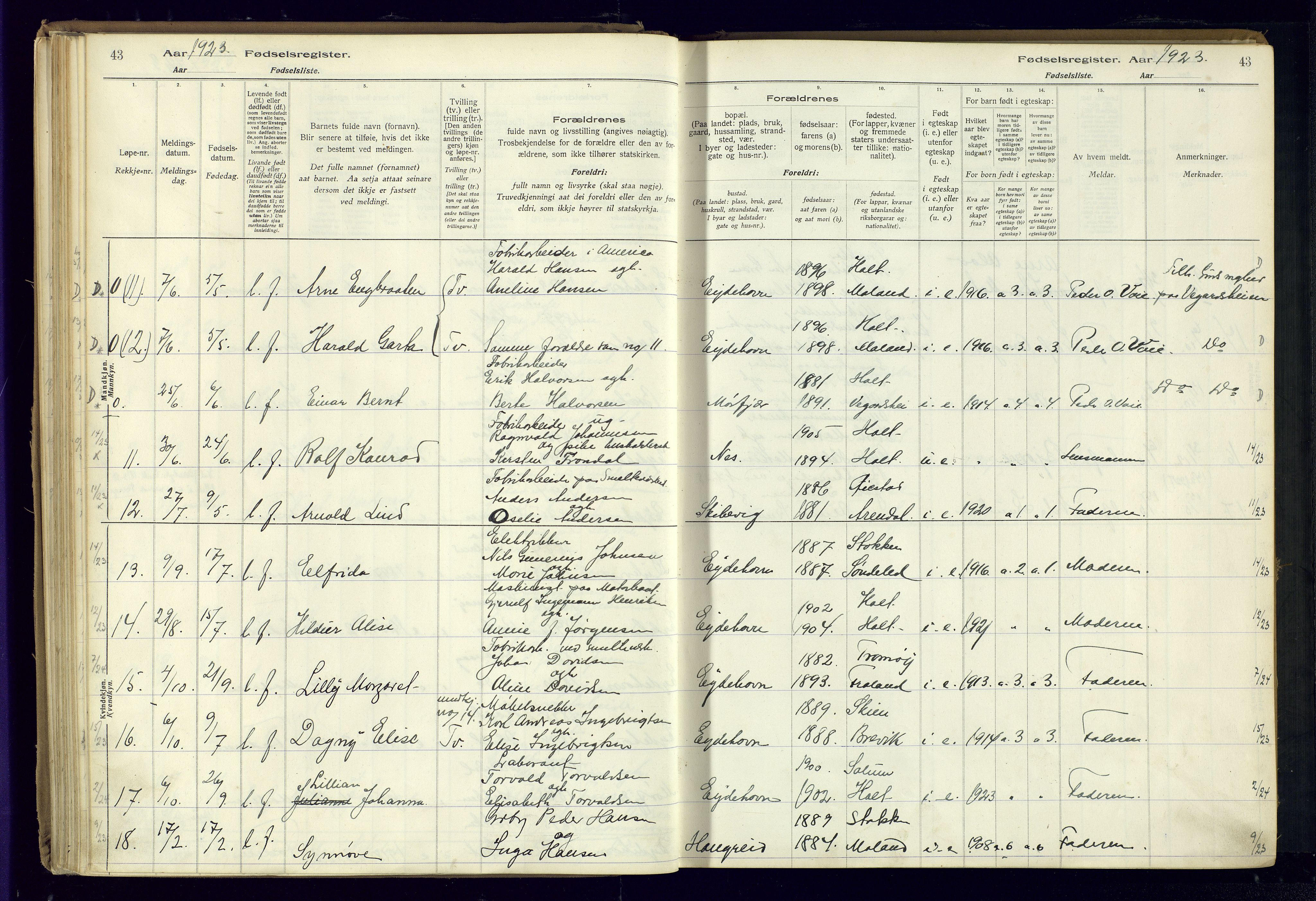 Austre Moland sokneprestkontor, AV/SAK-1111-0001/J/Ja/L0003: Fødselsregister nr. A-VI-27, 1916-1950, s. 43