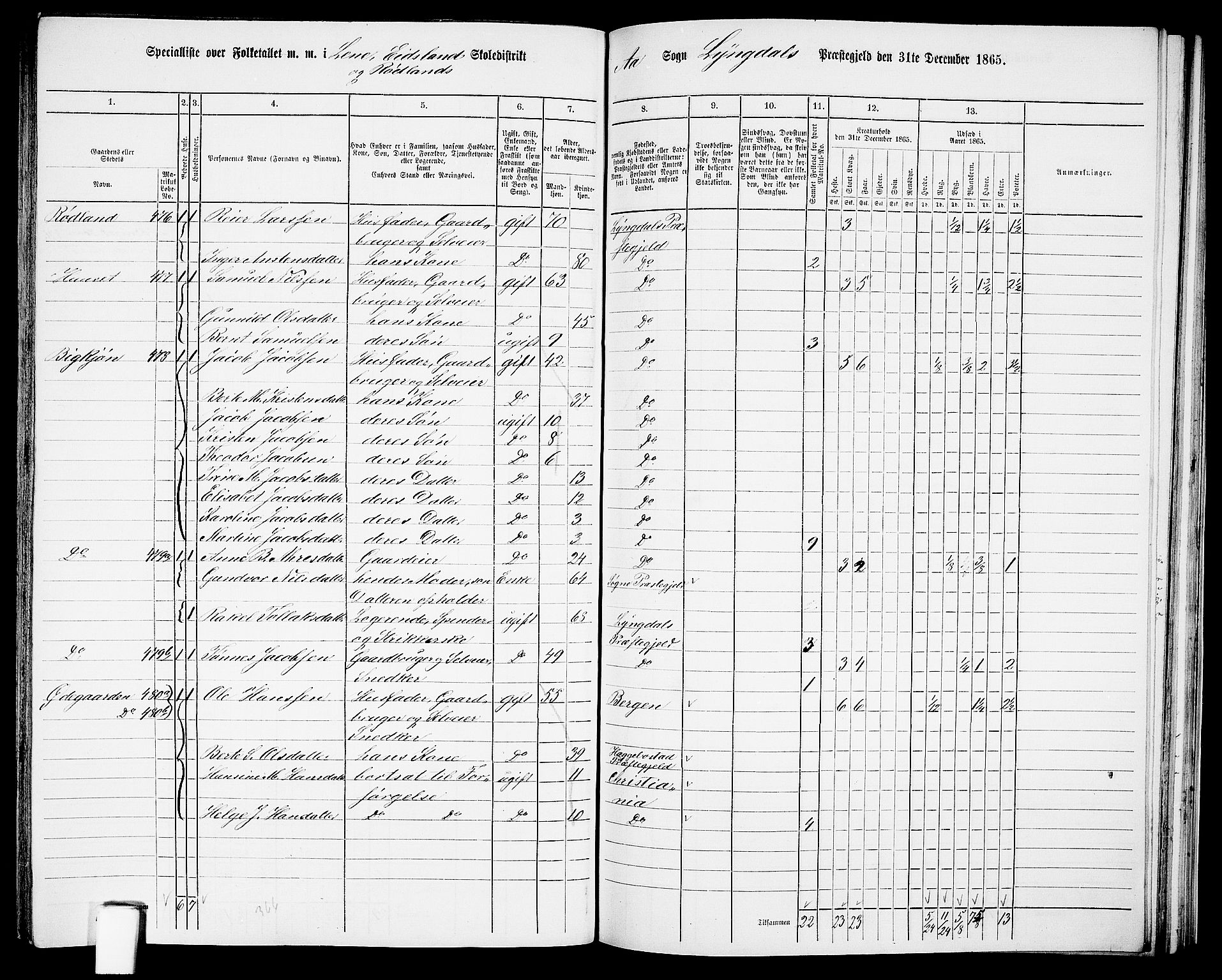 RA, Folketelling 1865 for 1032P Lyngdal prestegjeld, 1865, s. 193