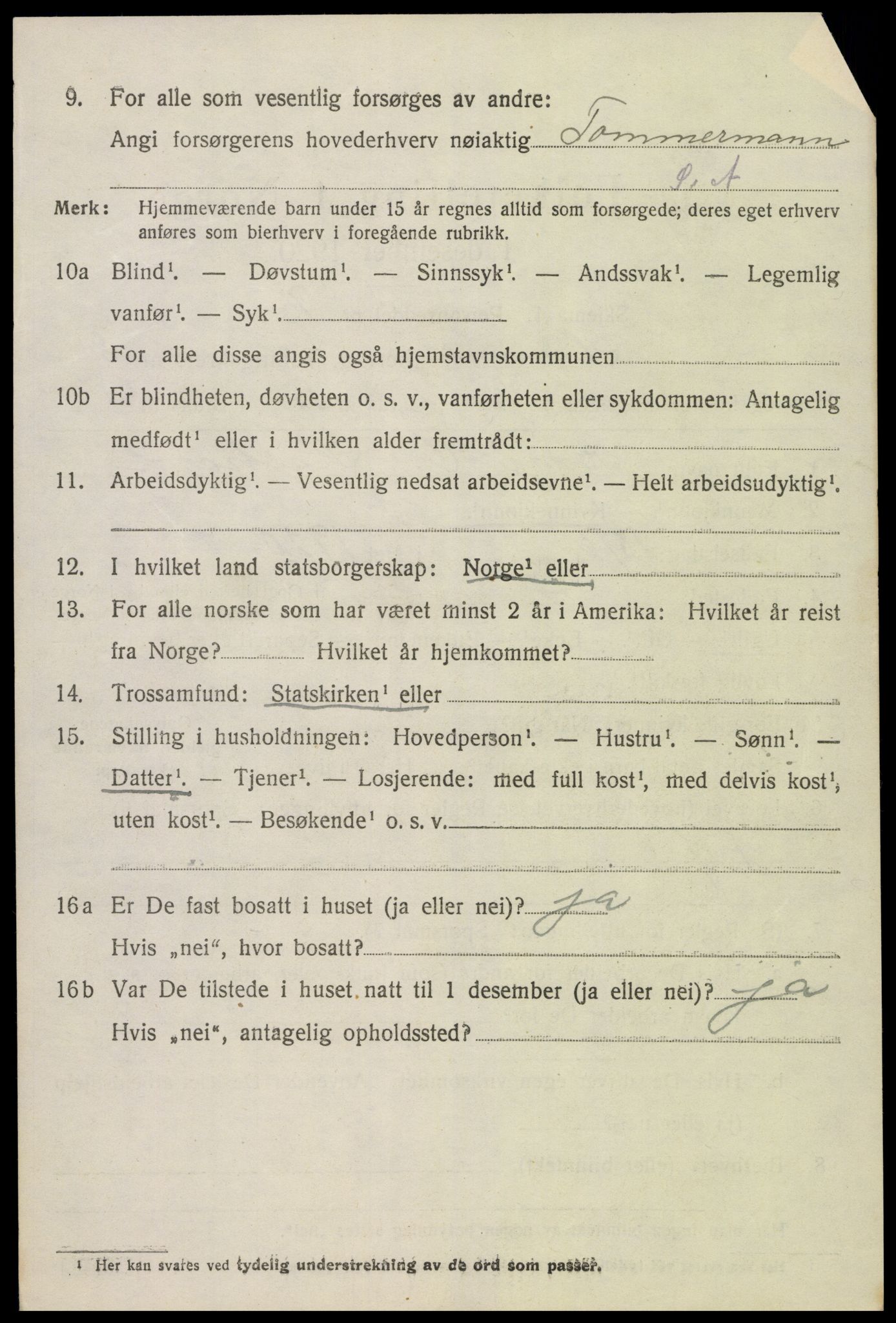 SAK, Folketelling 1920 for 0936 Hornnes herred, 1920, s. 2162