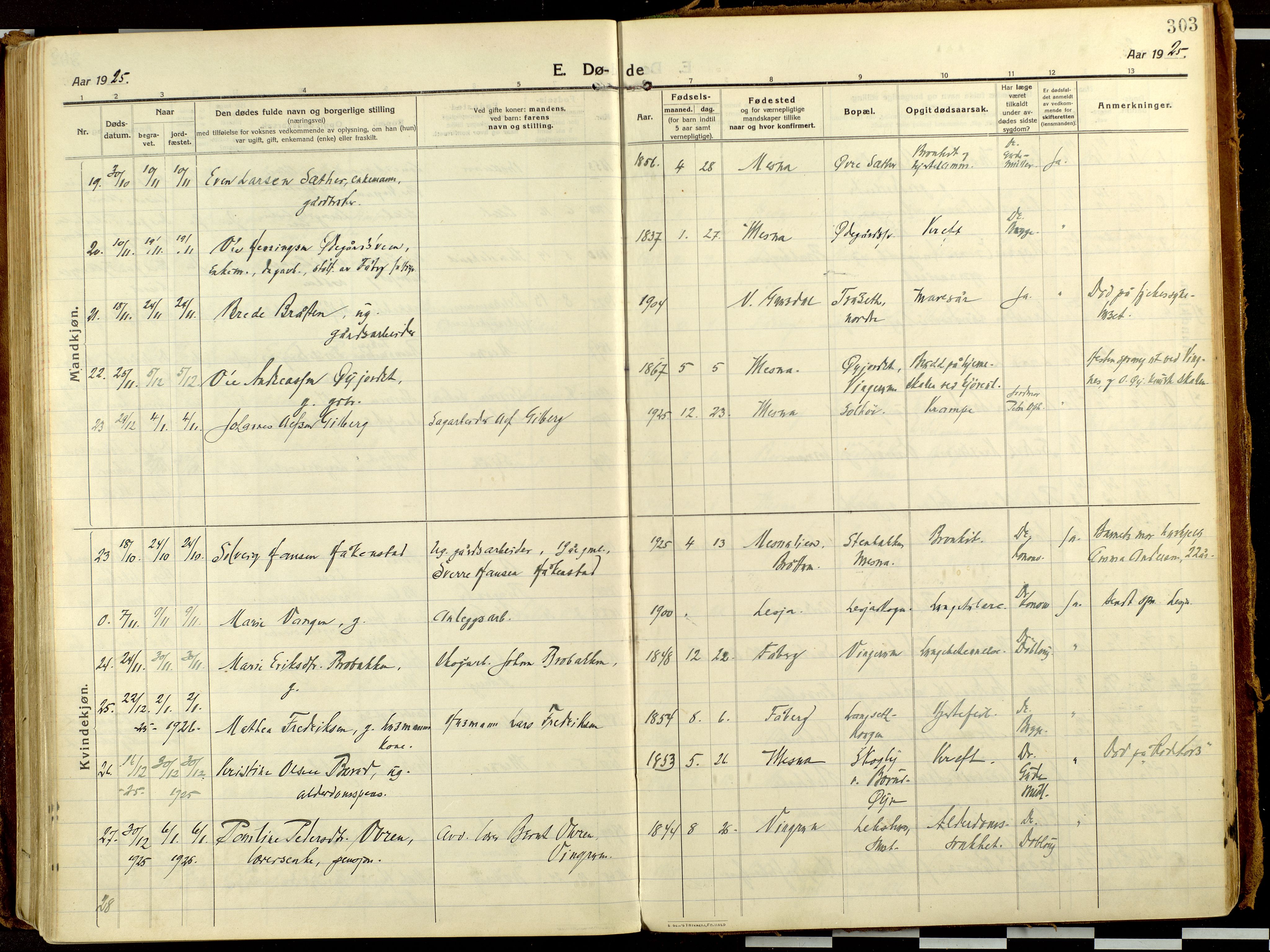Fåberg prestekontor, AV/SAH-PREST-086/H/Ha/Haa/L0013: Ministerialbok nr. 13, 1913-1928, s. 303