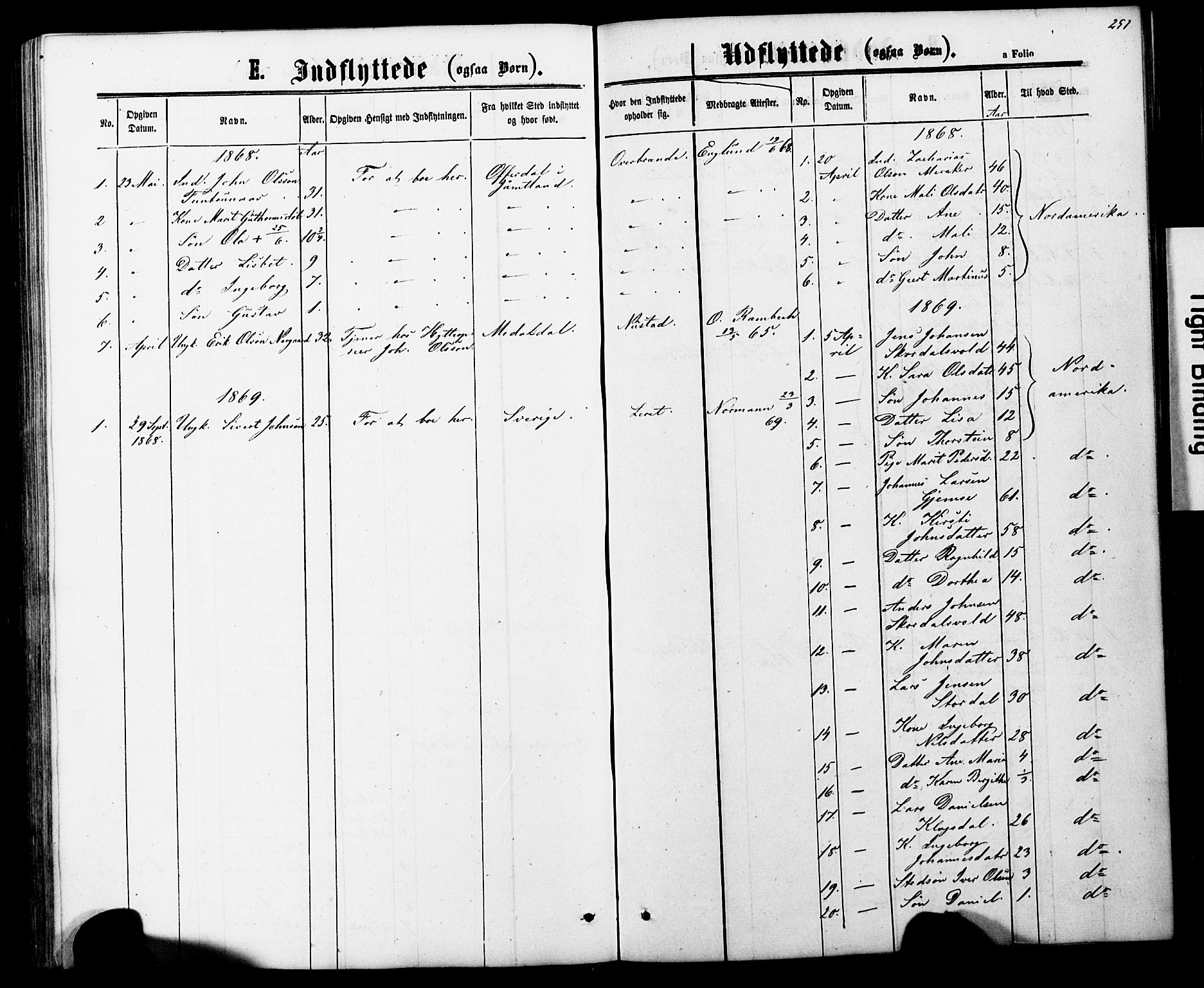 Ministerialprotokoller, klokkerbøker og fødselsregistre - Nord-Trøndelag, SAT/A-1458/706/L0049: Klokkerbok nr. 706C01, 1864-1895, s. 251