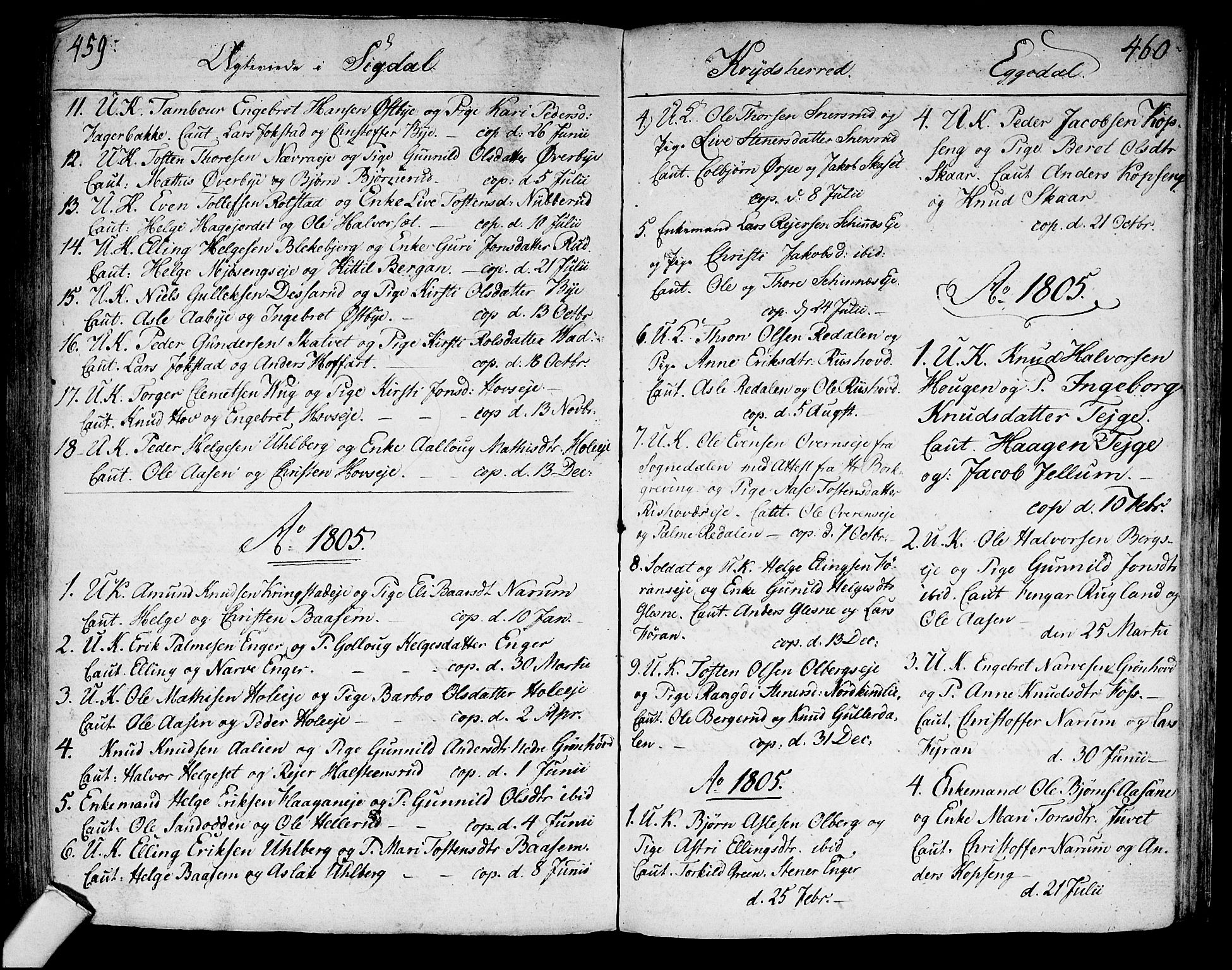 Sigdal kirkebøker, AV/SAKO-A-245/F/Fa/L0003: Ministerialbok nr. I 3, 1793-1811, s. 459-460