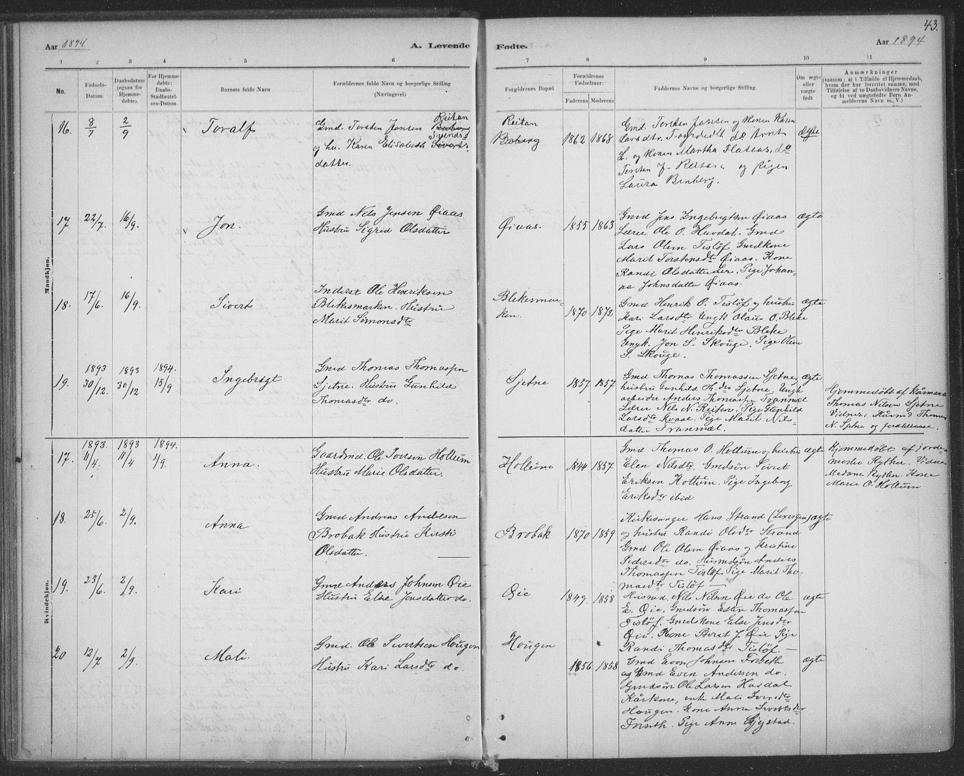 Ministerialprotokoller, klokkerbøker og fødselsregistre - Sør-Trøndelag, AV/SAT-A-1456/691/L1085: Ministerialbok nr. 691A17, 1887-1908, s. 43