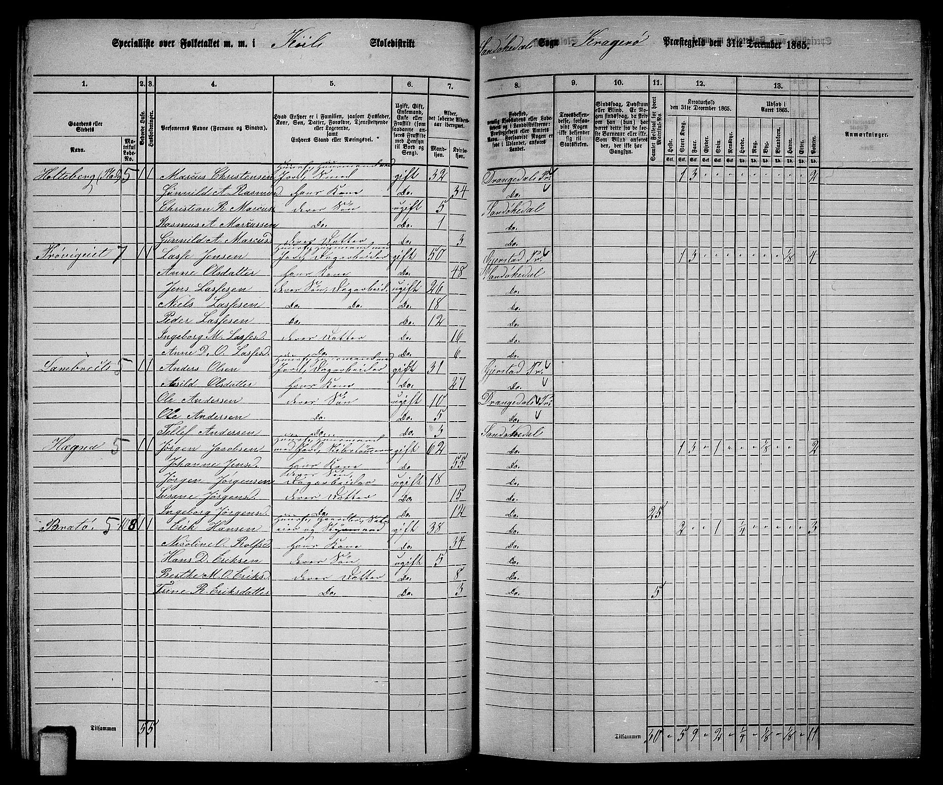 RA, Folketelling 1865 for 0816L Kragerø prestegjeld, Sannidal sokn og Skåtøy sokn, 1865, s. 62