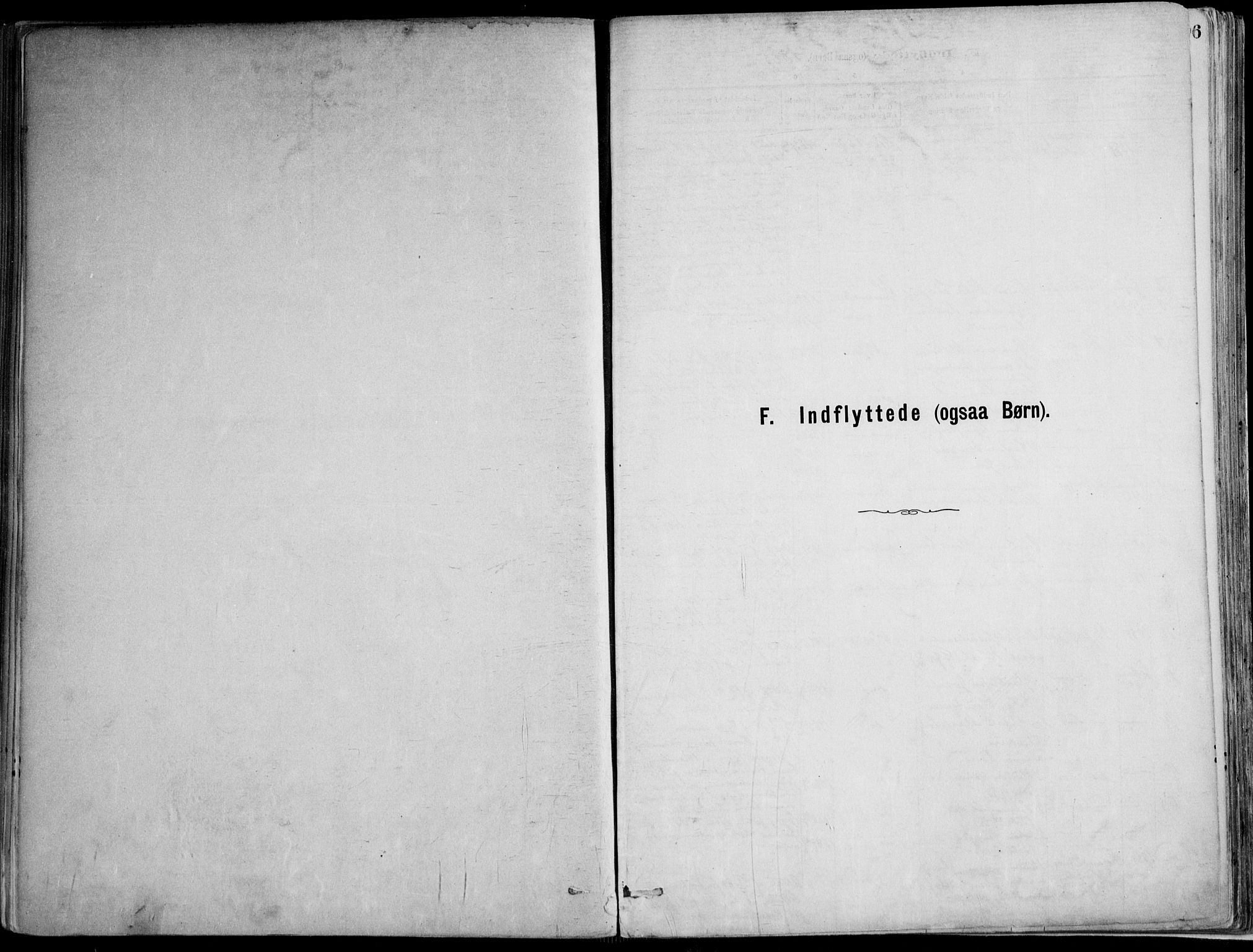 Skoger kirkebøker, AV/SAKO-A-59/F/Fa/L0006: Ministerialbok nr. I 6, 1885-1910