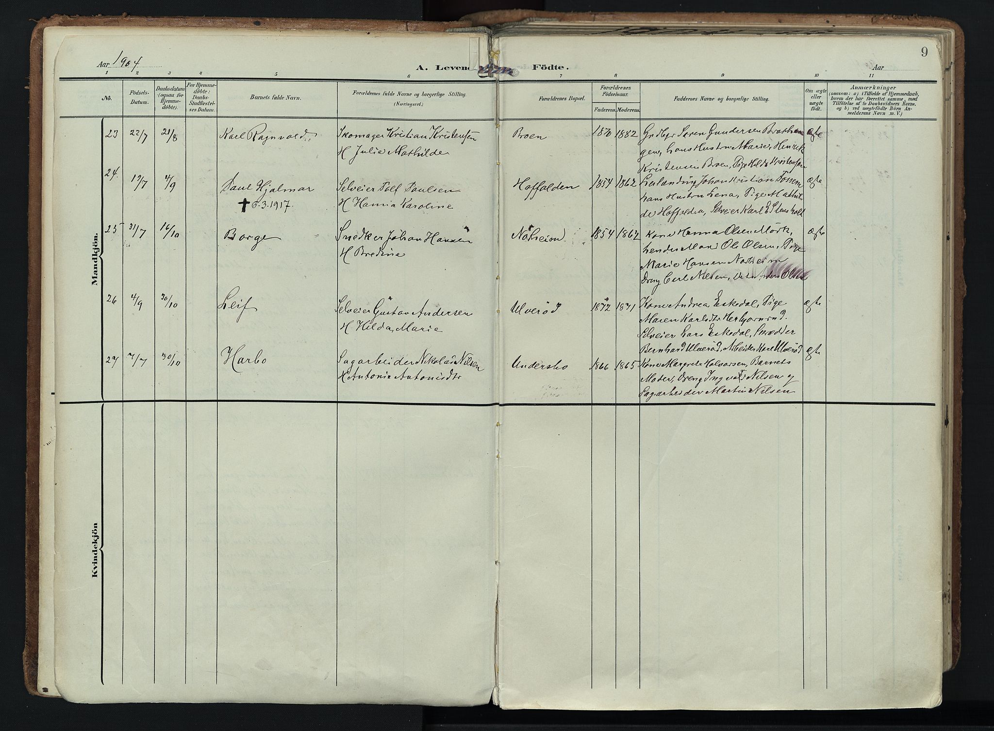 Hedrum kirkebøker, AV/SAKO-A-344/F/Fa/L0010: Ministerialbok nr. I 10, 1904-1918, s. 9