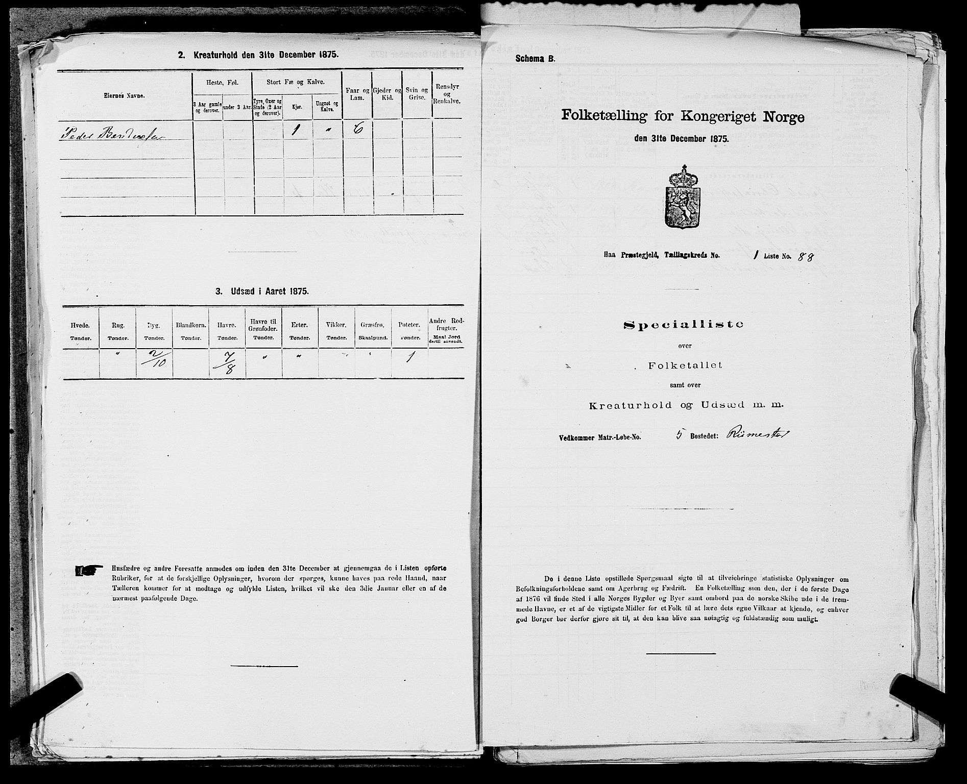 SAST, Folketelling 1875 for 1119P Hå prestegjeld, 1875, s. 238