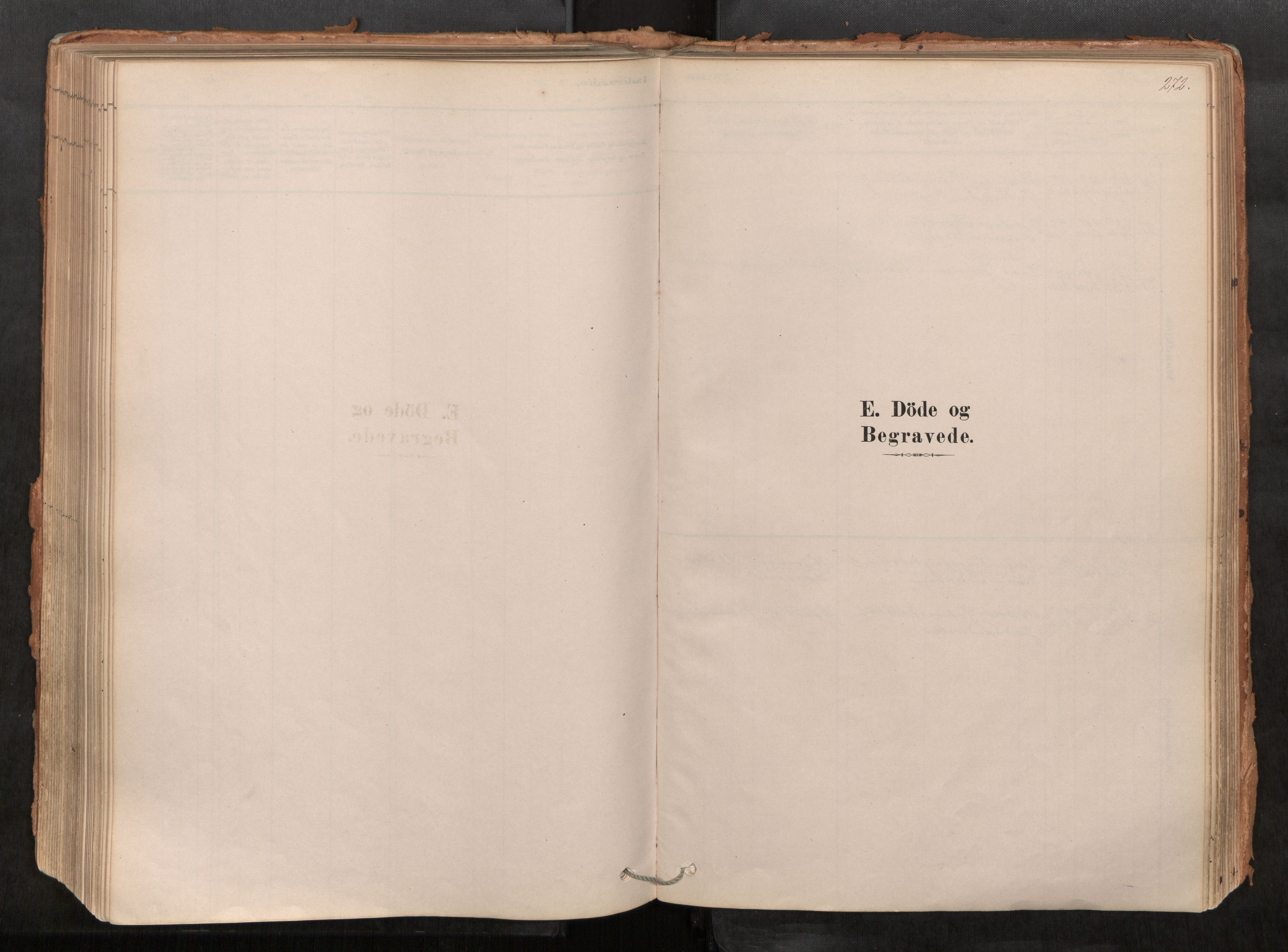 Sunndal sokneprestkontor, SAT/A-1085/1/I/I1/I1a/L0001: Ministerialbok nr. 1, 1877-1914, s. 272