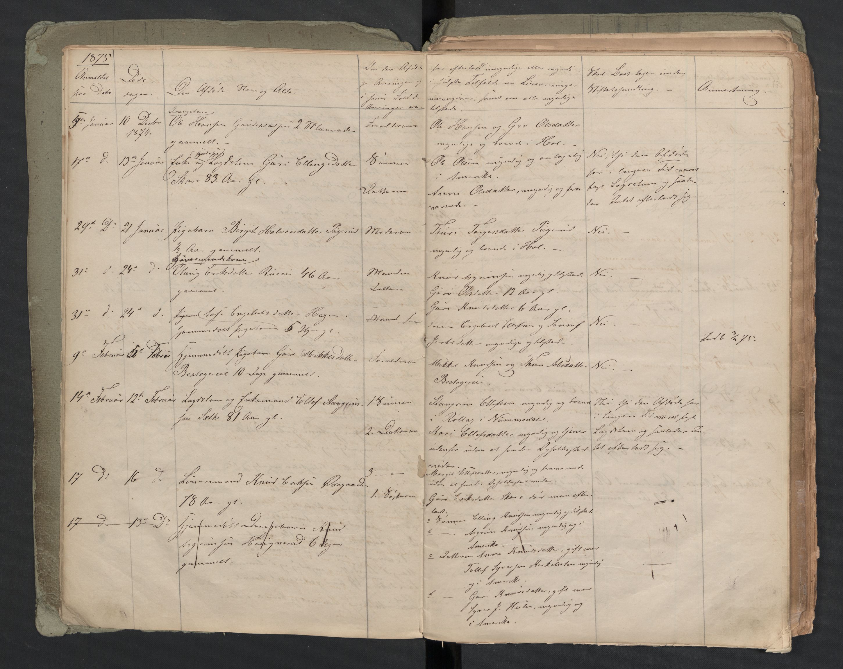 Hol lensmannskontor, AV/SAKO-A-512/H/Ha/L0001: Dødsanmeldelsesprotokoll, 1872-1893