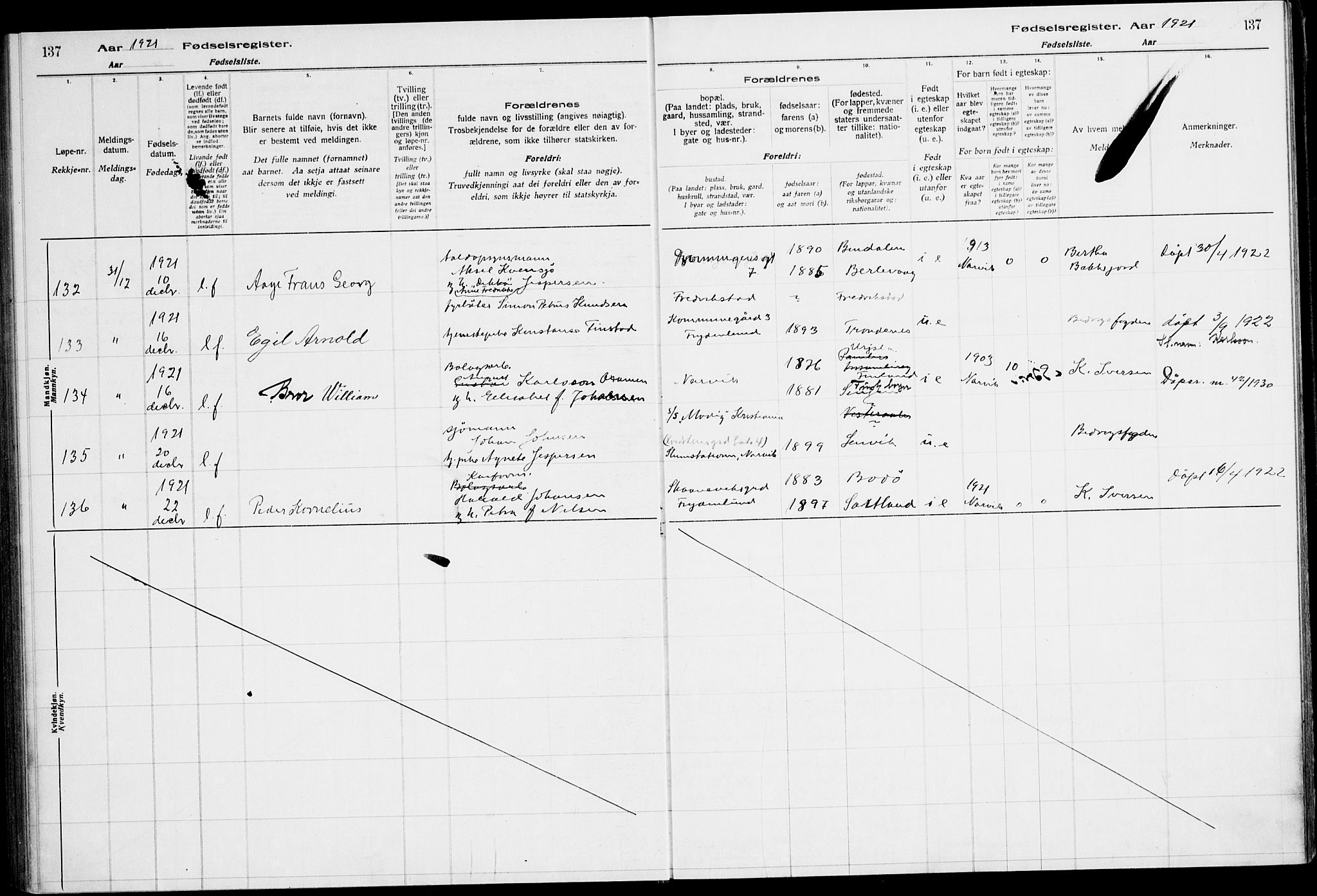 Ministerialprotokoller, klokkerbøker og fødselsregistre - Nordland, AV/SAT-A-1459/871/L1013: Fødselsregister nr. 871.II.4.1, 1916-1924, s. 137