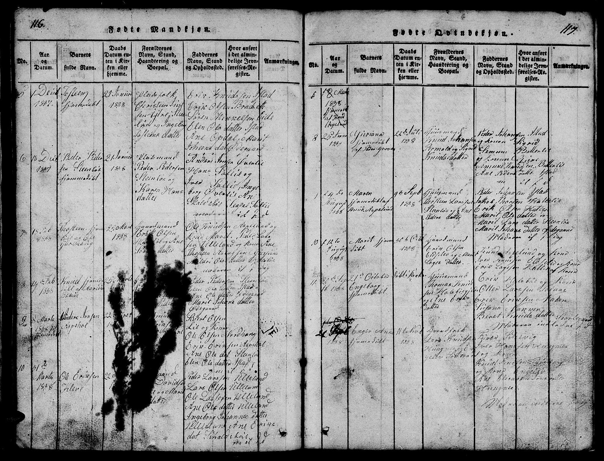 Ministerialprotokoller, klokkerbøker og fødselsregistre - Møre og Romsdal, AV/SAT-A-1454/557/L0683: Klokkerbok nr. 557C01, 1818-1862, s. 116-117