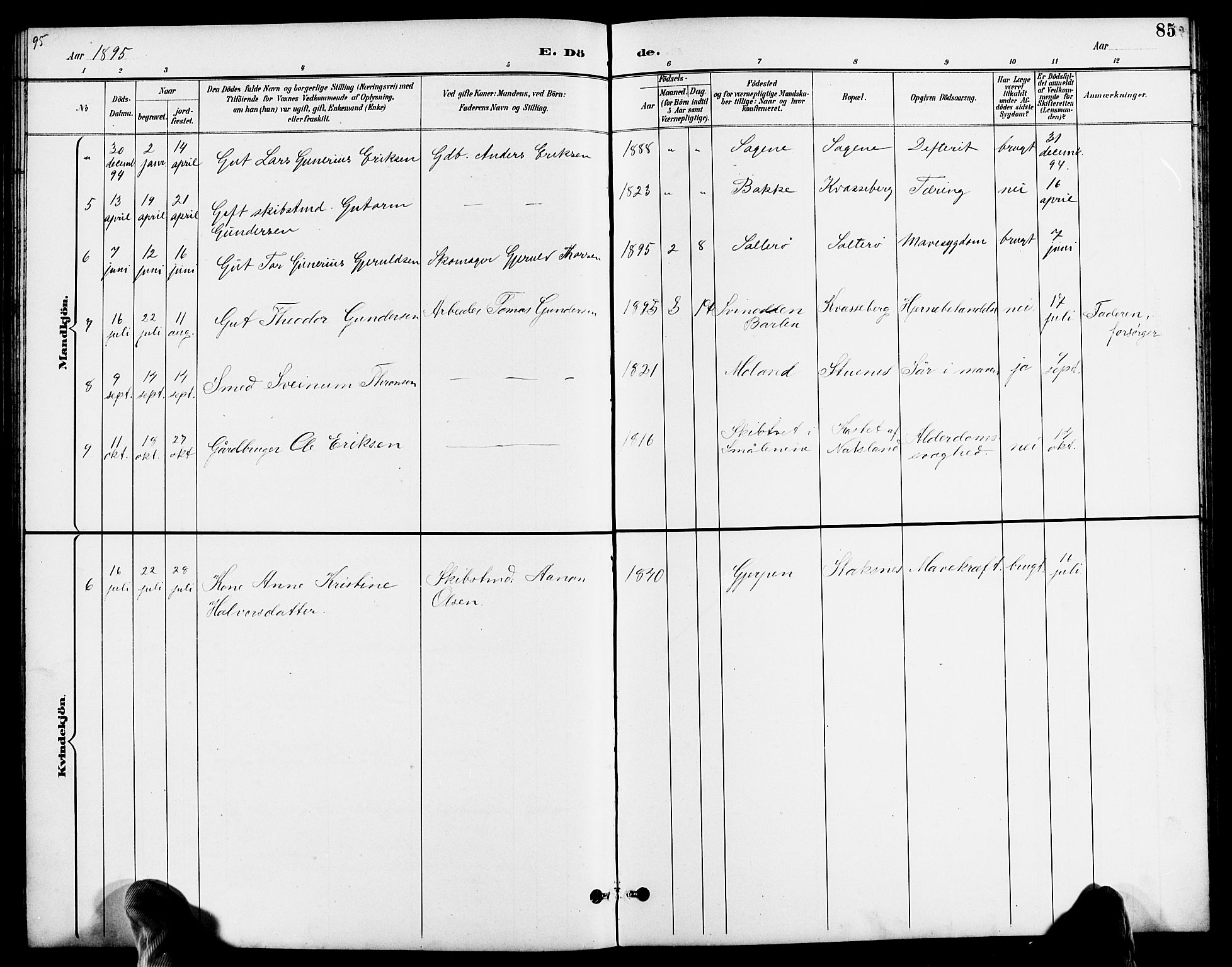 Austre Moland sokneprestkontor, AV/SAK-1111-0001/F/Fb/Fbb/L0002: Klokkerbok nr. B 2, 1894-1918, s. 85
