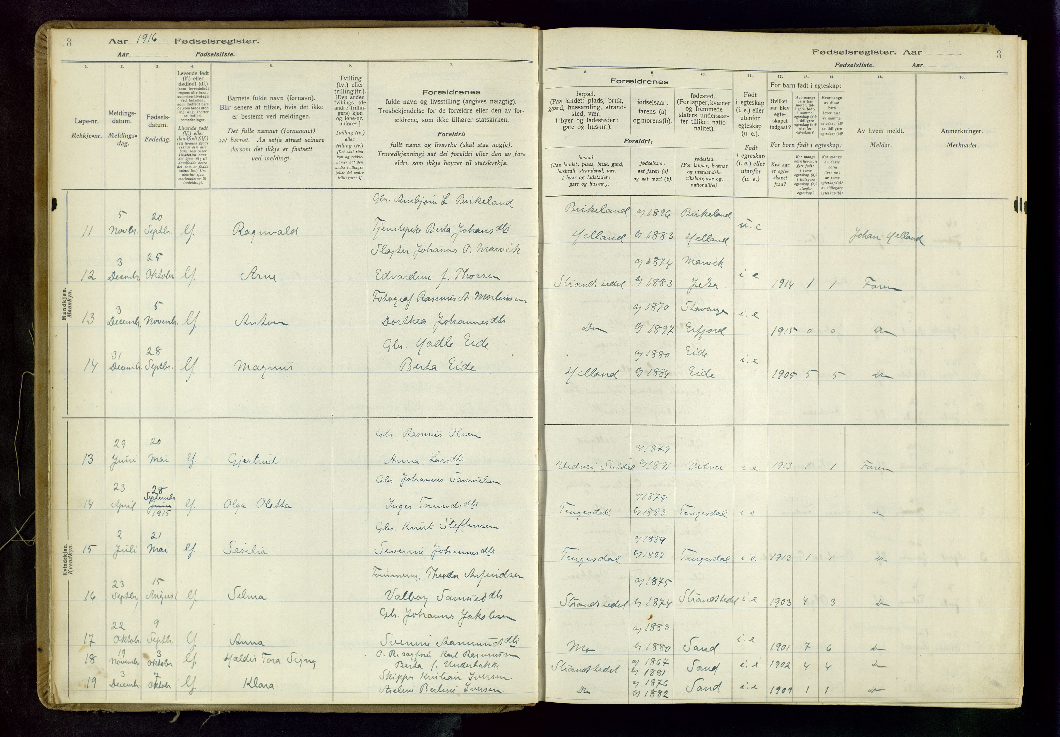 Suldal sokneprestkontor, AV/SAST-A-101845/03/A/L0001: Fødselsregister nr. 1, 1916-1982, s. 3