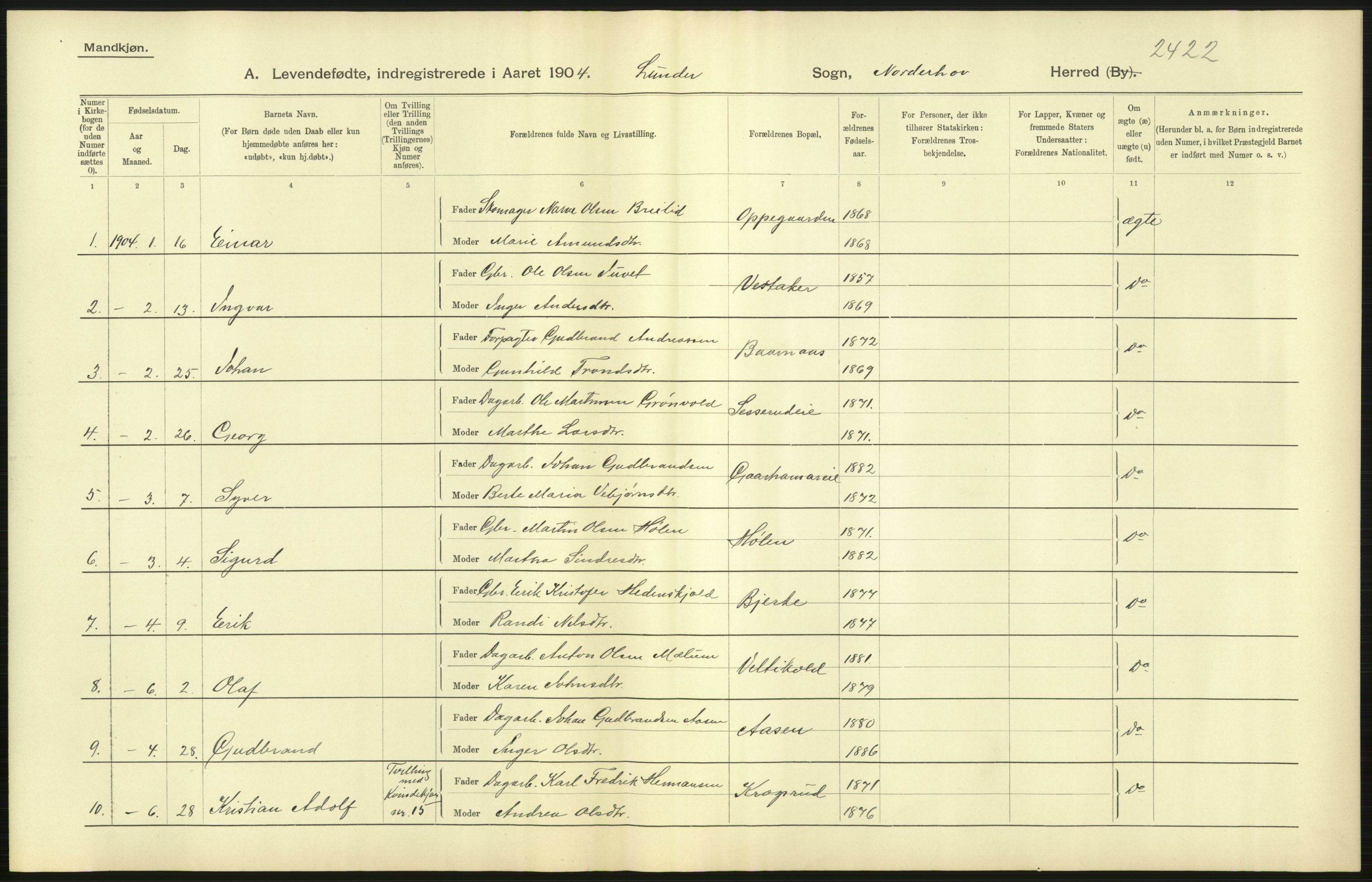 Statistisk sentralbyrå, Sosiodemografiske emner, Befolkning, RA/S-2228/D/Df/Dfa/Dfab/L0007: Buskerud amt: Fødte, gifte, døde, 1904, s. 23