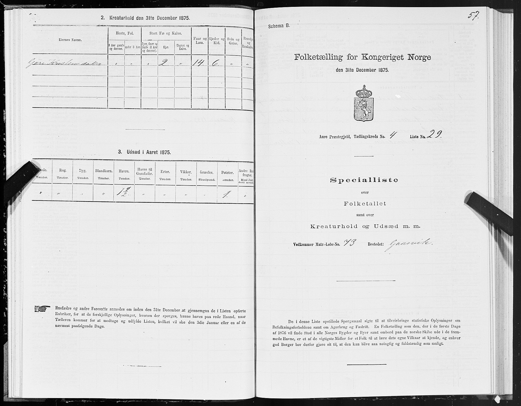 SAT, Folketelling 1875 for 1569P Aure prestegjeld, 1875, s. 4057