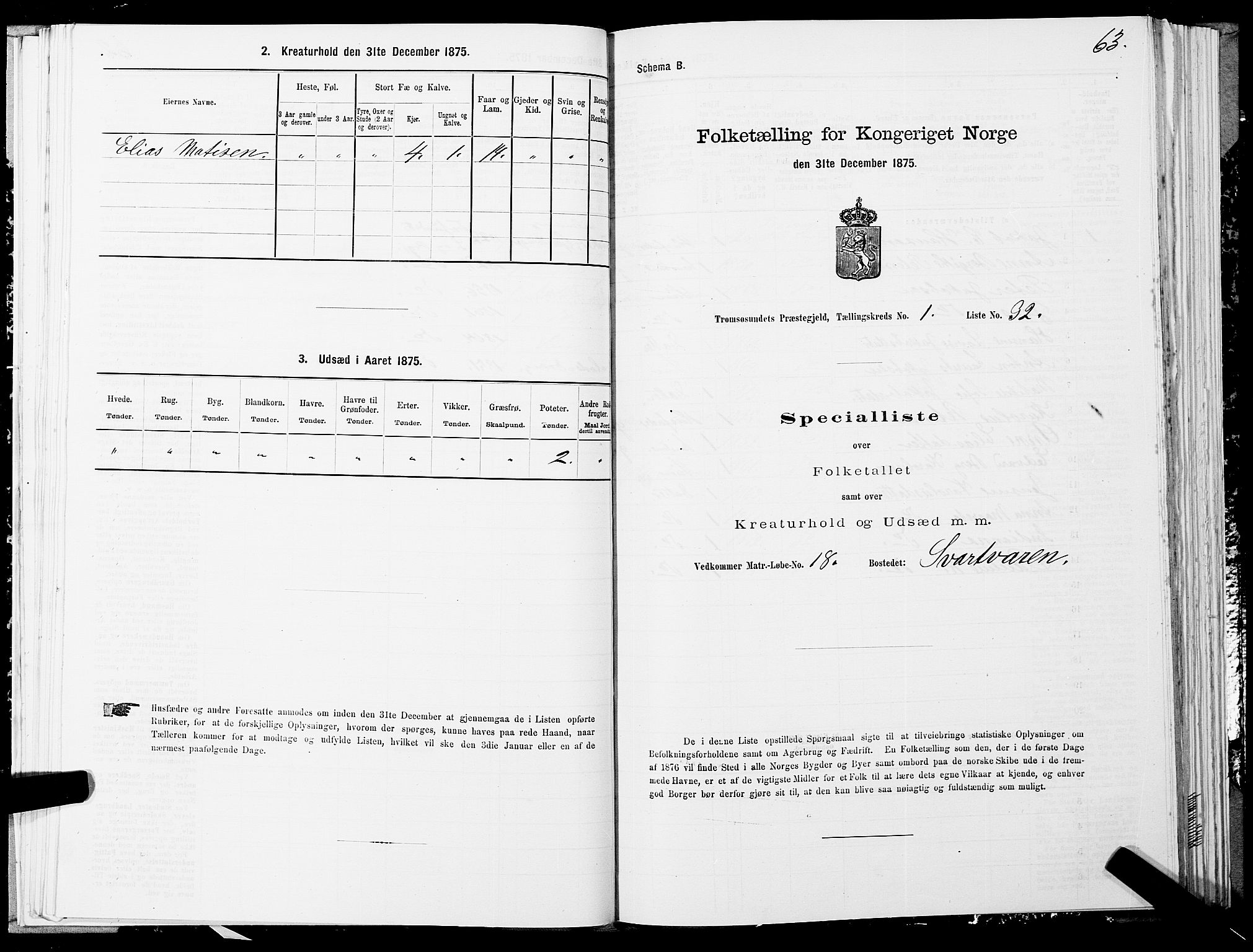 SATØ, Folketelling 1875 for 1934P Tromsøysund prestegjeld, 1875, s. 1063