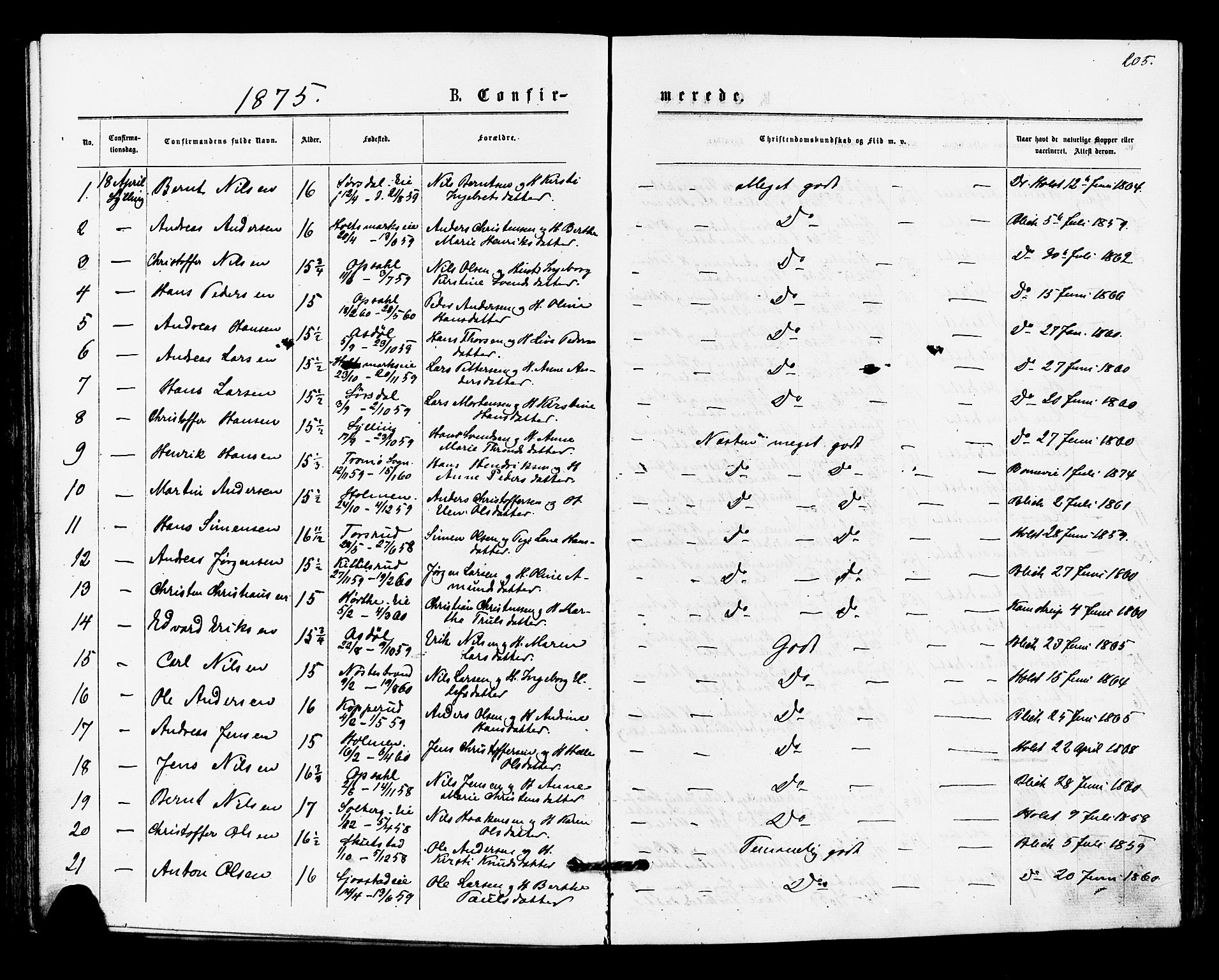 Lier kirkebøker, AV/SAKO-A-230/F/Fa/L0014: Ministerialbok nr. I 14, 1875-1882, s. 205