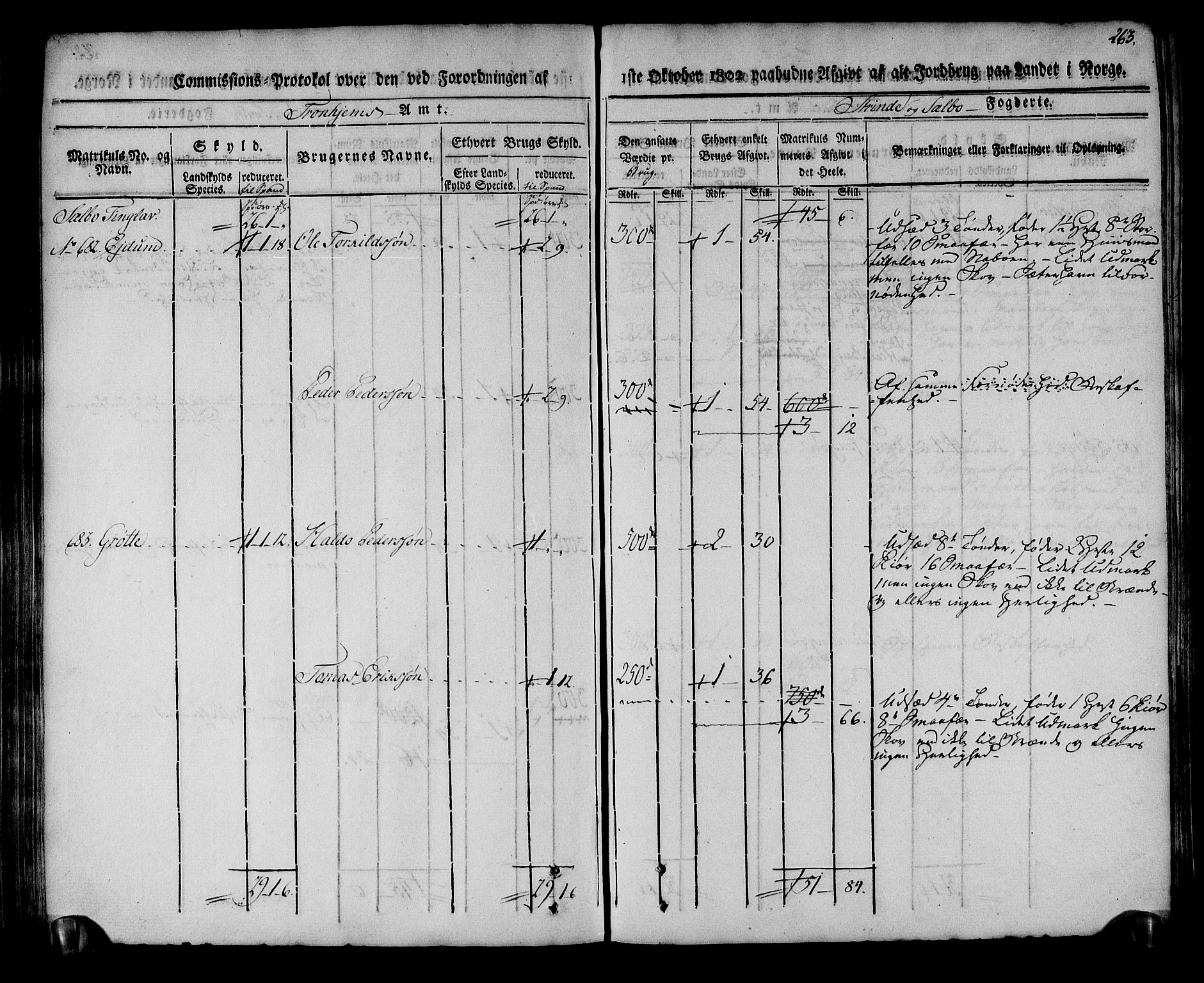 Rentekammeret inntil 1814, Realistisk ordnet avdeling, AV/RA-EA-4070/N/Ne/Nea/L0140: Strinda og Selbu fogderi. Kommisjonsprotokoll, 1803, s. 264