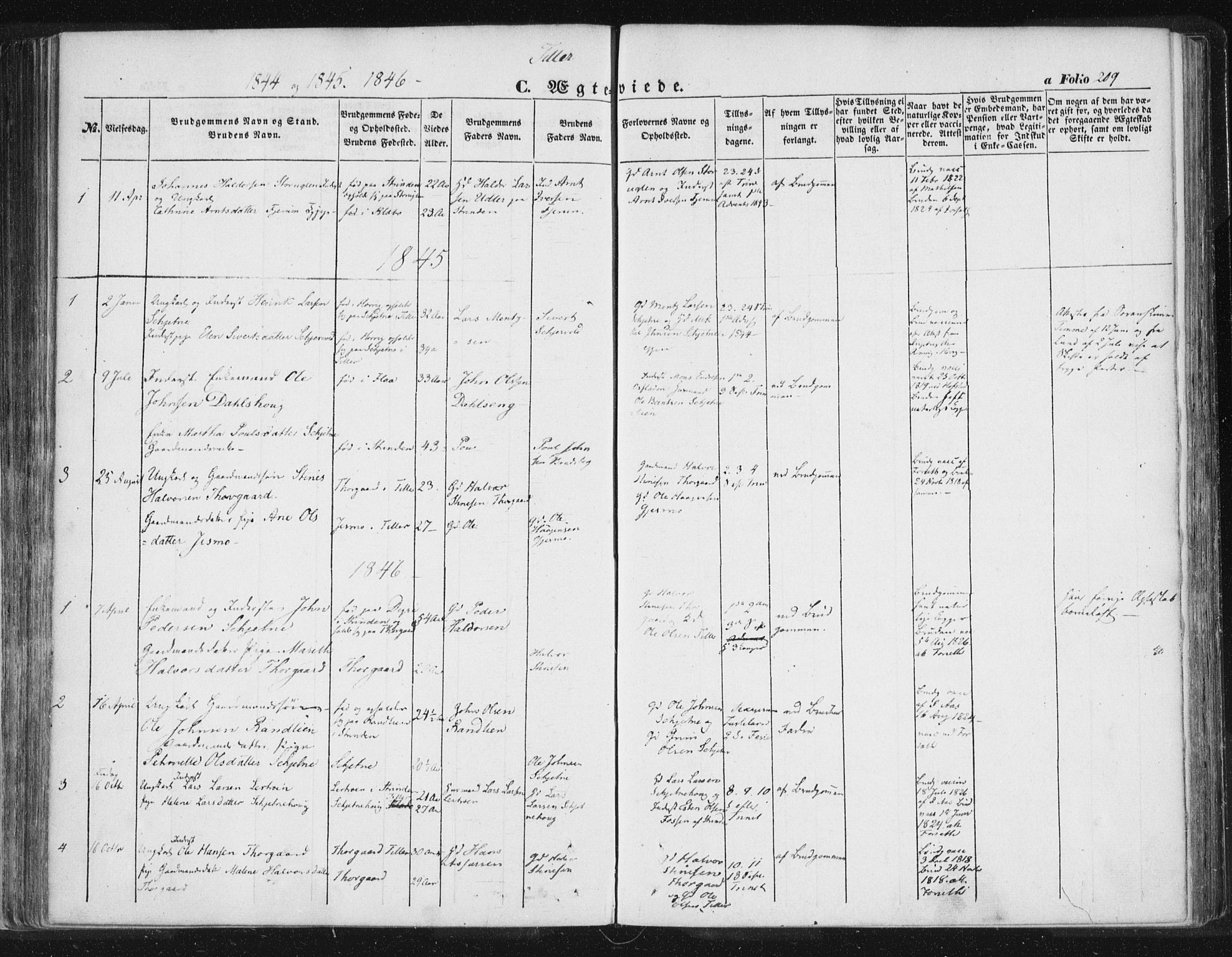 Ministerialprotokoller, klokkerbøker og fødselsregistre - Sør-Trøndelag, AV/SAT-A-1456/618/L0441: Ministerialbok nr. 618A05, 1843-1862, s. 209