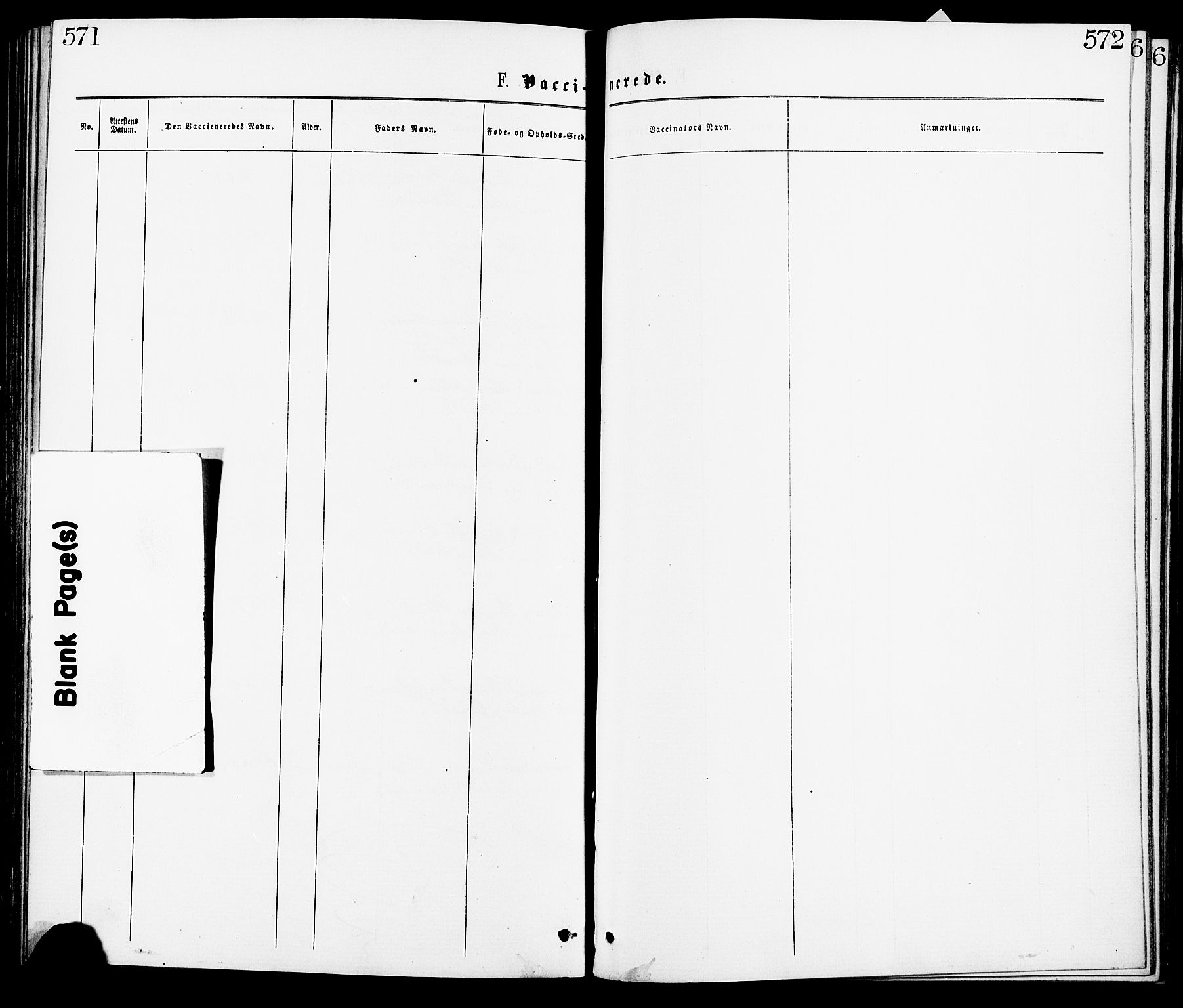 Gjerdrum prestekontor Kirkebøker, AV/SAO-A-10412b/F/Fa/L0008: Ministerialbok nr. I 8, 1867-1880, s. 571-572