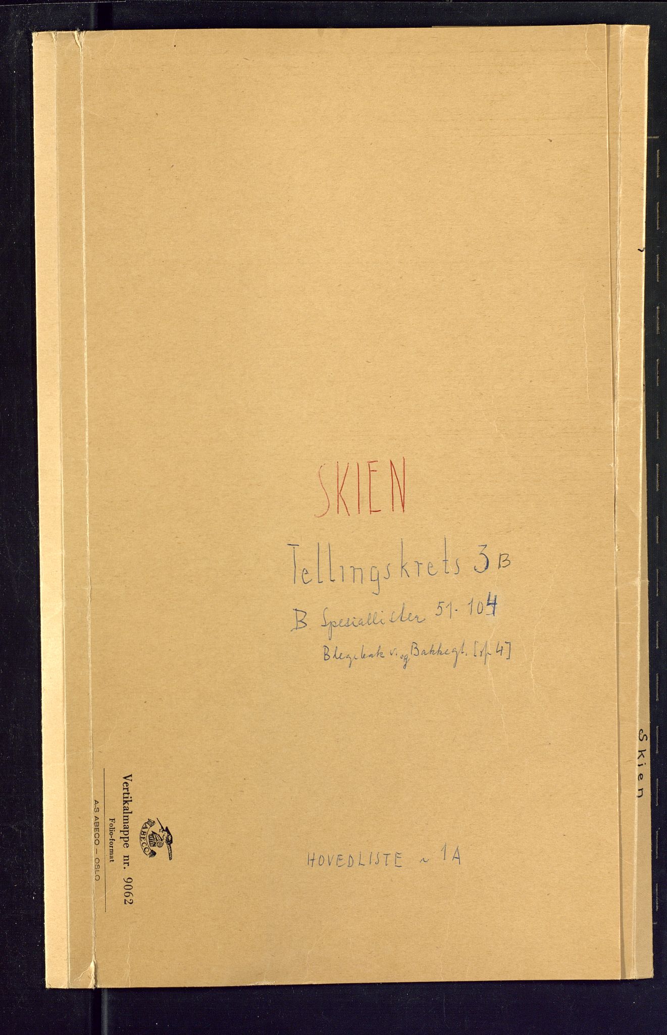 SAKO, Folketelling 1875 for 0806P Skien prestegjeld, 1875, s. 13