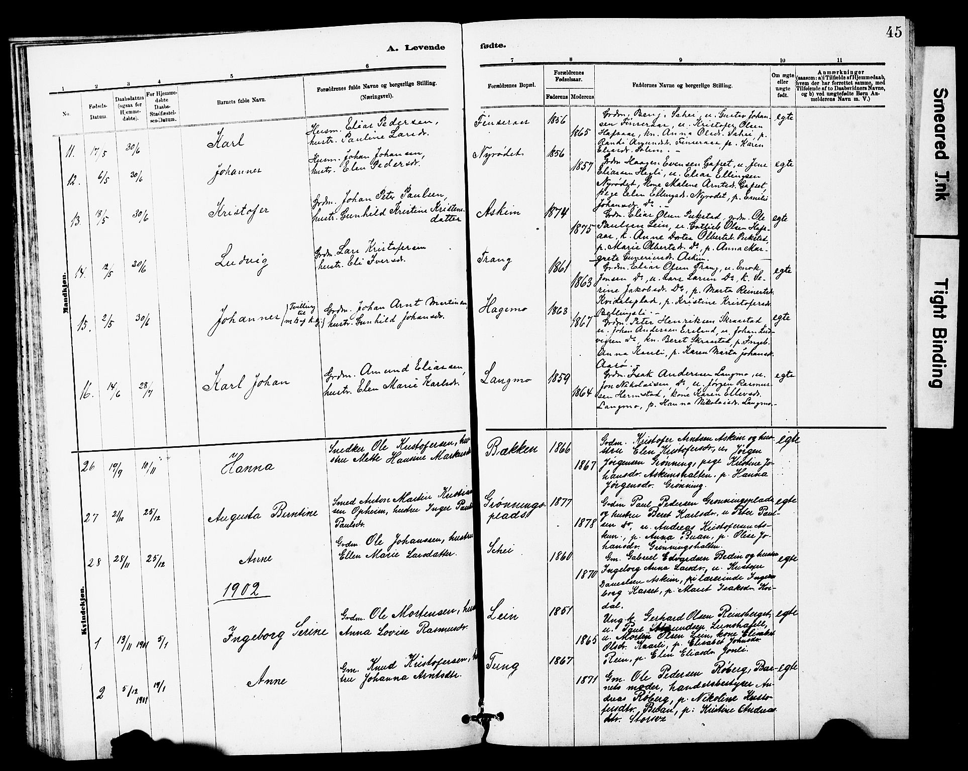 Ministerialprotokoller, klokkerbøker og fødselsregistre - Sør-Trøndelag, AV/SAT-A-1456/646/L0628: Klokkerbok nr. 646C01, 1880-1903, s. 45