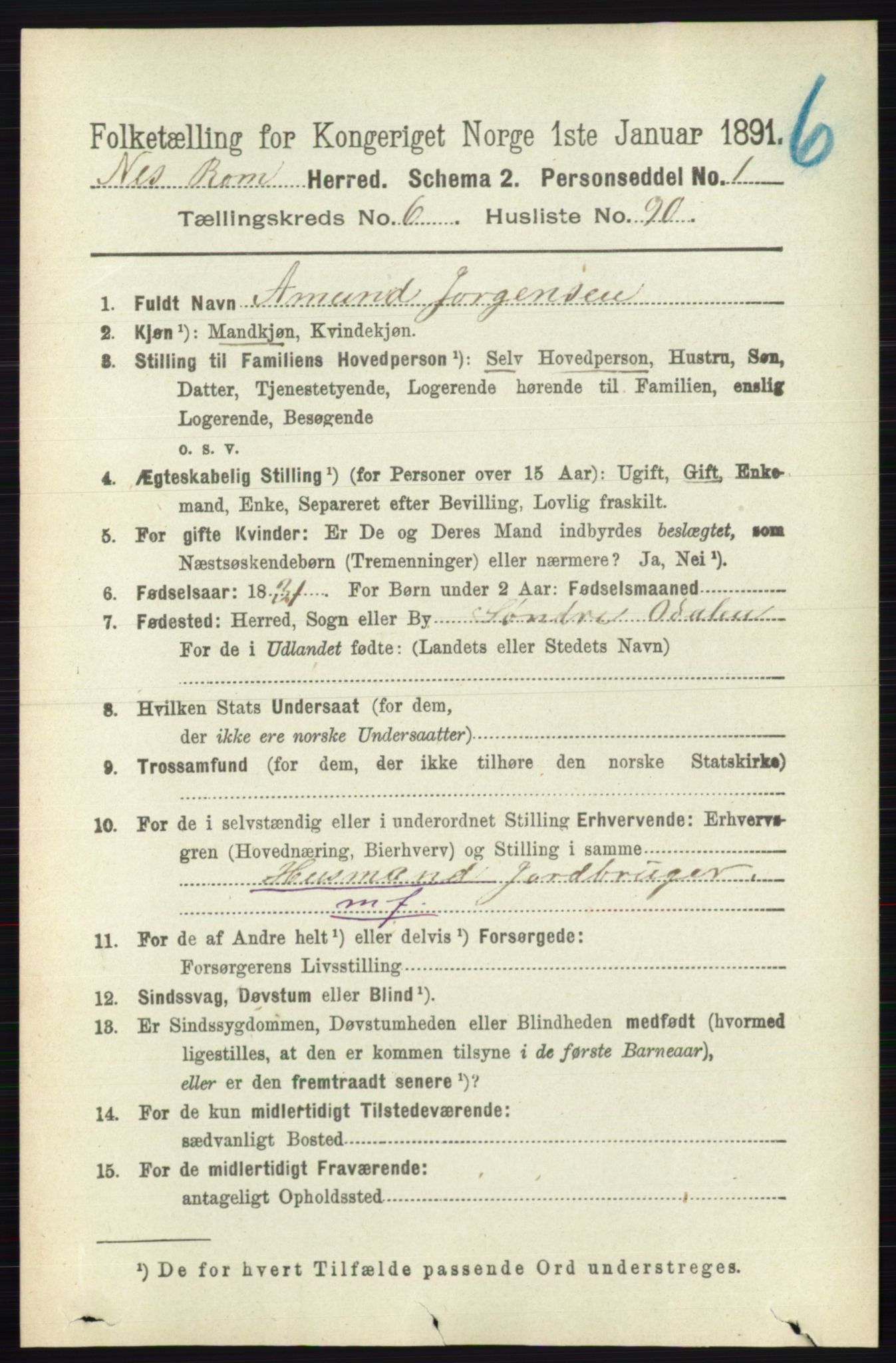 RA, Folketelling 1891 for 0236 Nes herred, 1891, s. 3932