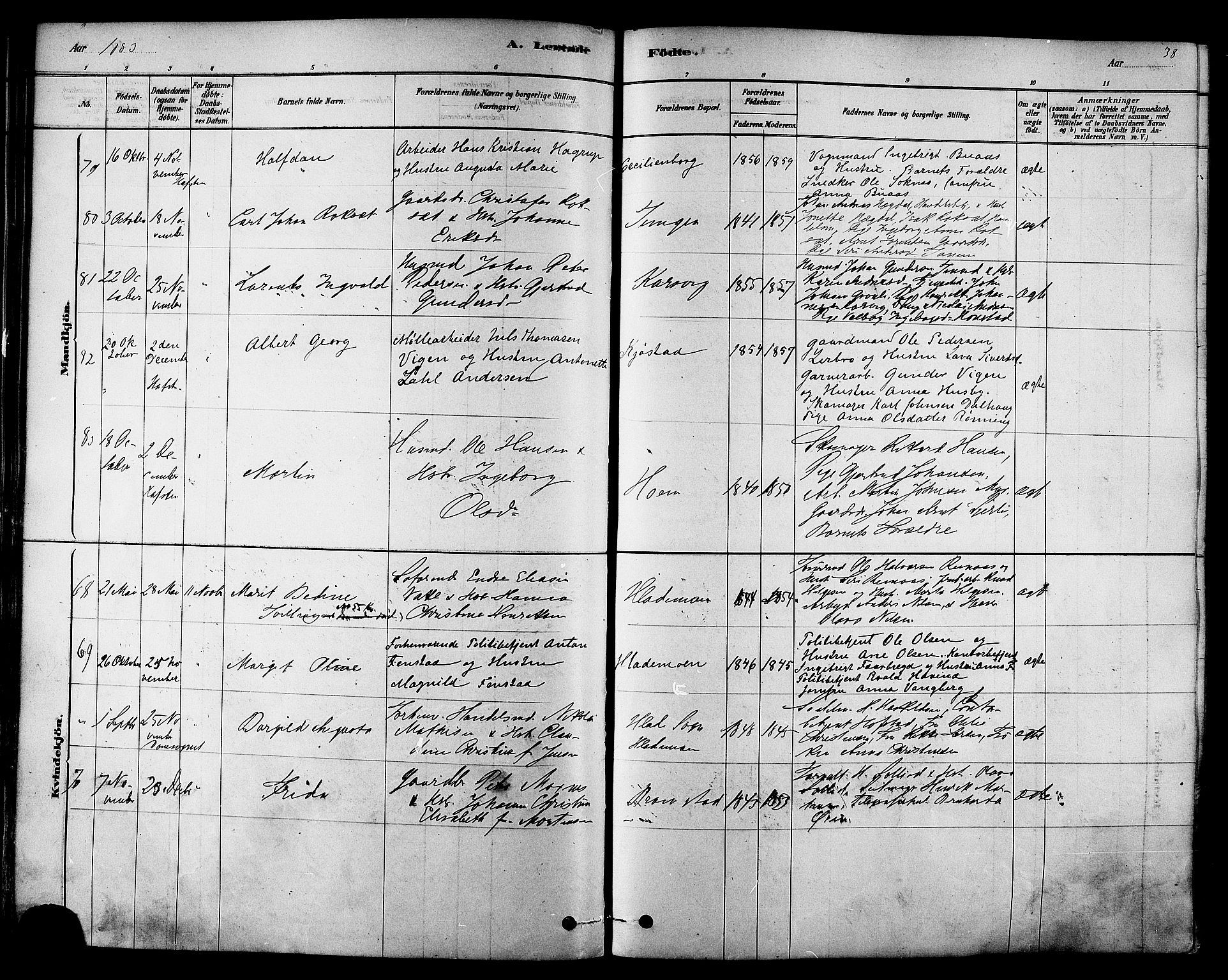 Ministerialprotokoller, klokkerbøker og fødselsregistre - Sør-Trøndelag, SAT/A-1456/606/L0294: Ministerialbok nr. 606A09, 1878-1886, s. 138