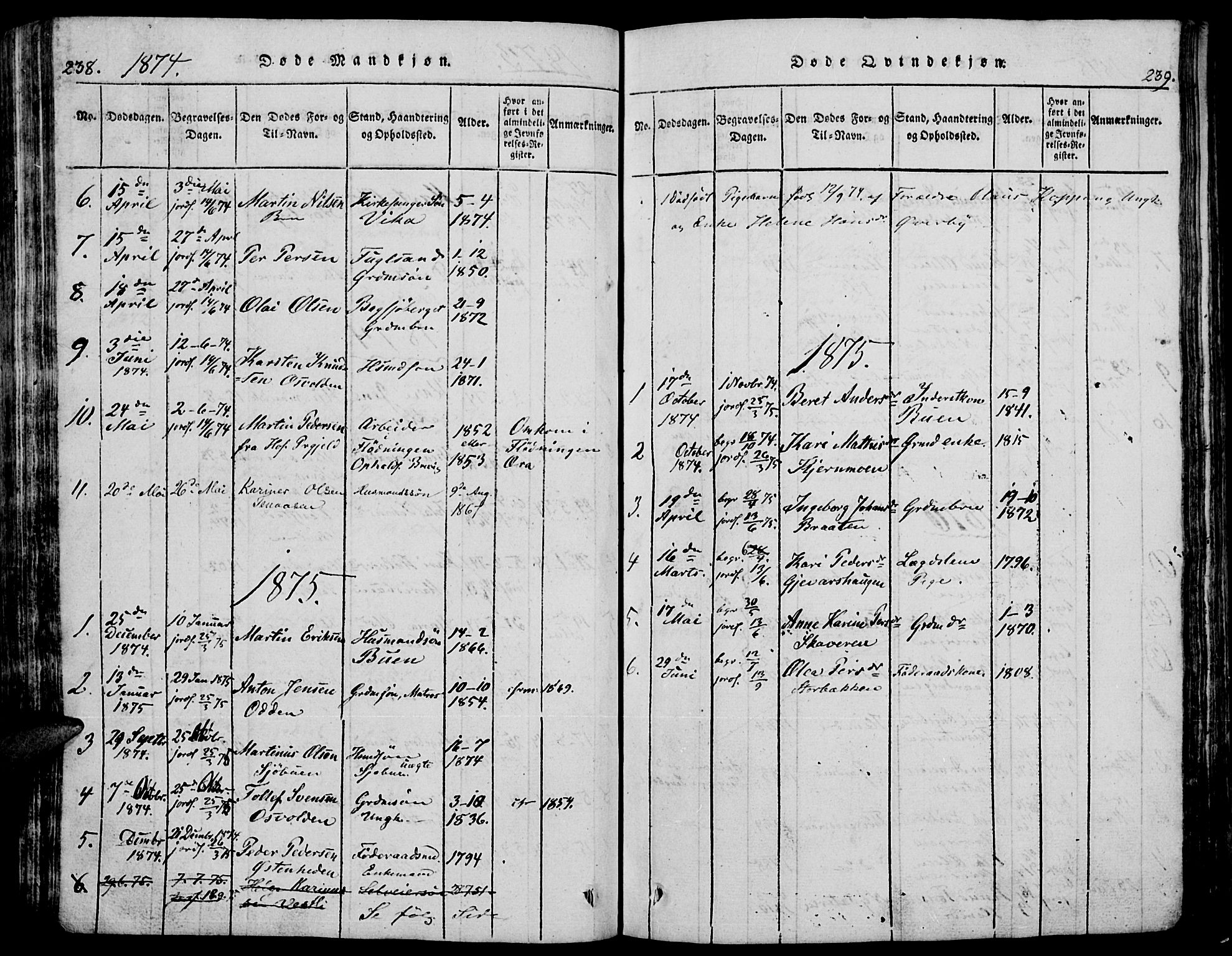 Trysil prestekontor, AV/SAH-PREST-046/H/Ha/Hab/L0005: Klokkerbok nr. 5, 1814-1877, s. 238-239