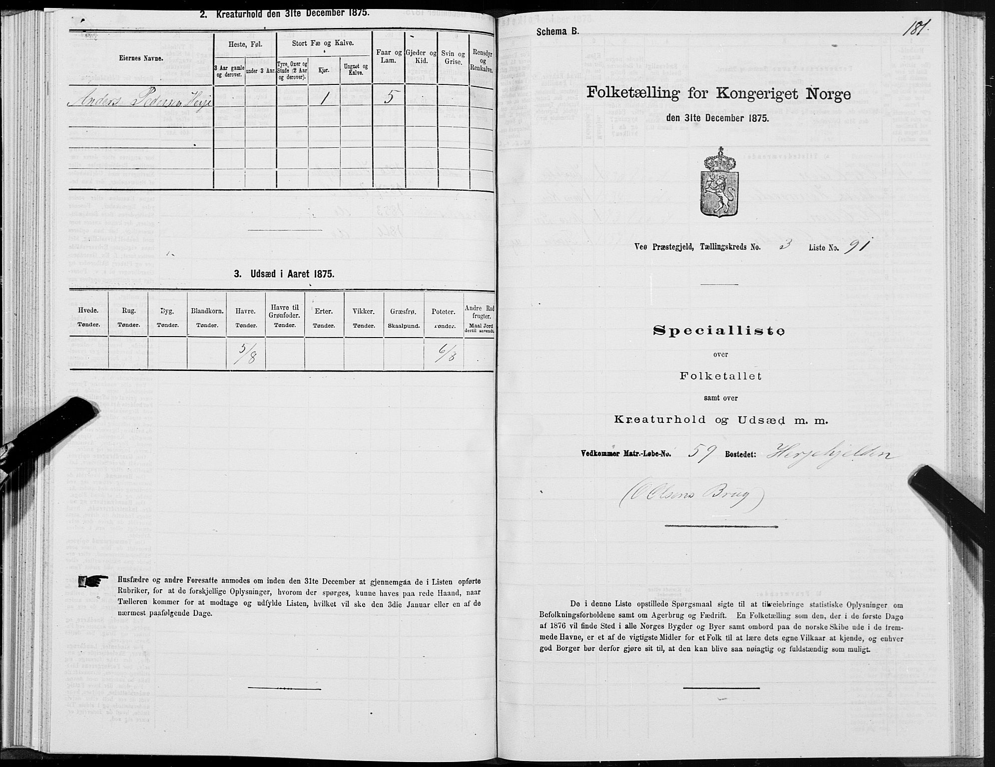 SAT, Folketelling 1875 for 1541P Veøy prestegjeld, 1875, s. 2181