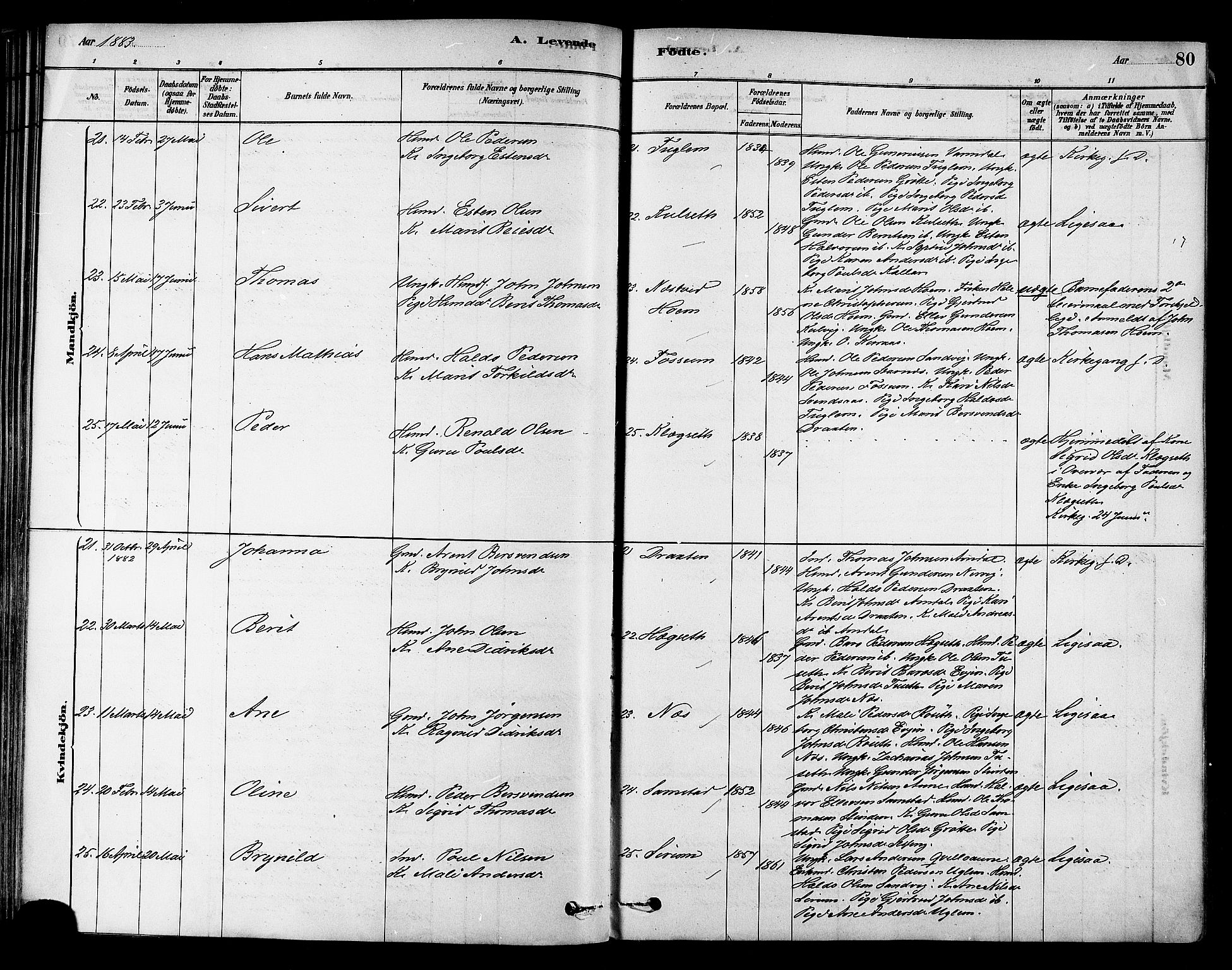 Ministerialprotokoller, klokkerbøker og fødselsregistre - Sør-Trøndelag, AV/SAT-A-1456/695/L1148: Ministerialbok nr. 695A08, 1878-1891, s. 80