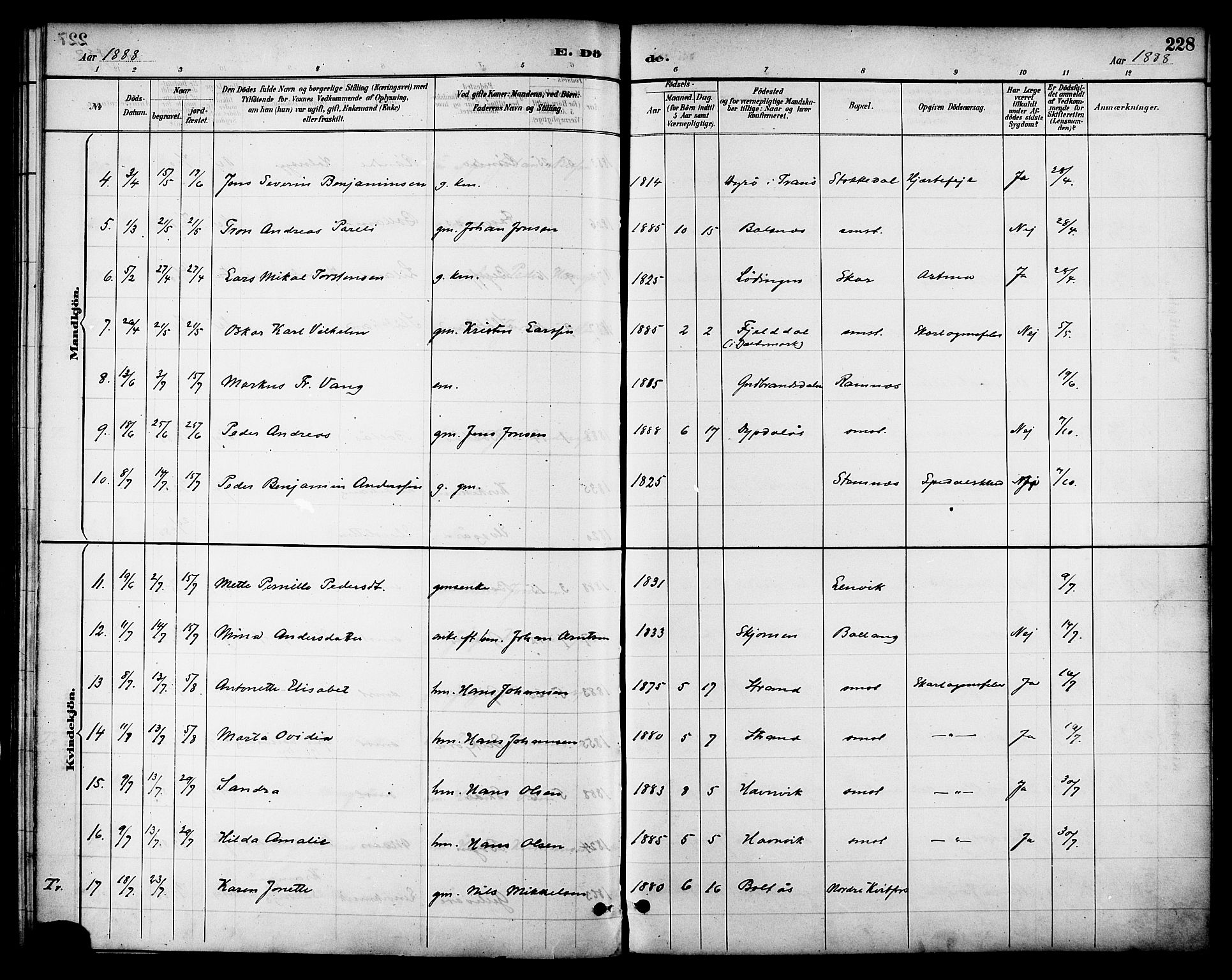 Ministerialprotokoller, klokkerbøker og fødselsregistre - Nordland, AV/SAT-A-1459/863/L0898: Ministerialbok nr. 863A10, 1886-1897, s. 228
