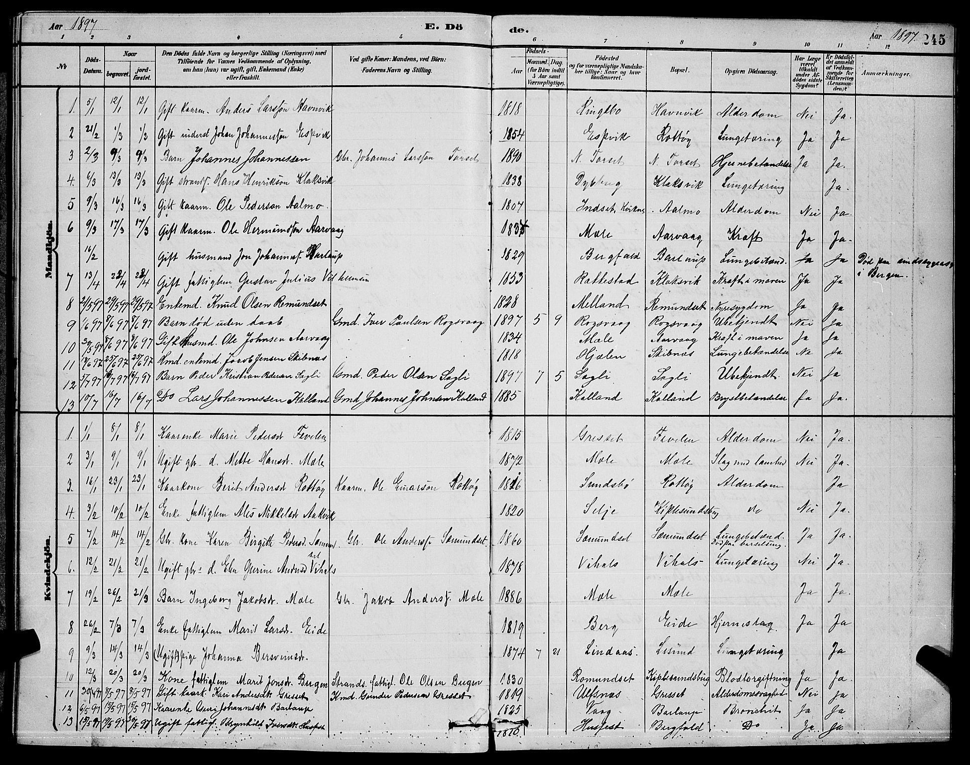 Ministerialprotokoller, klokkerbøker og fødselsregistre - Møre og Romsdal, AV/SAT-A-1454/578/L0909: Klokkerbok nr. 578C02, 1882-1900, s. 245