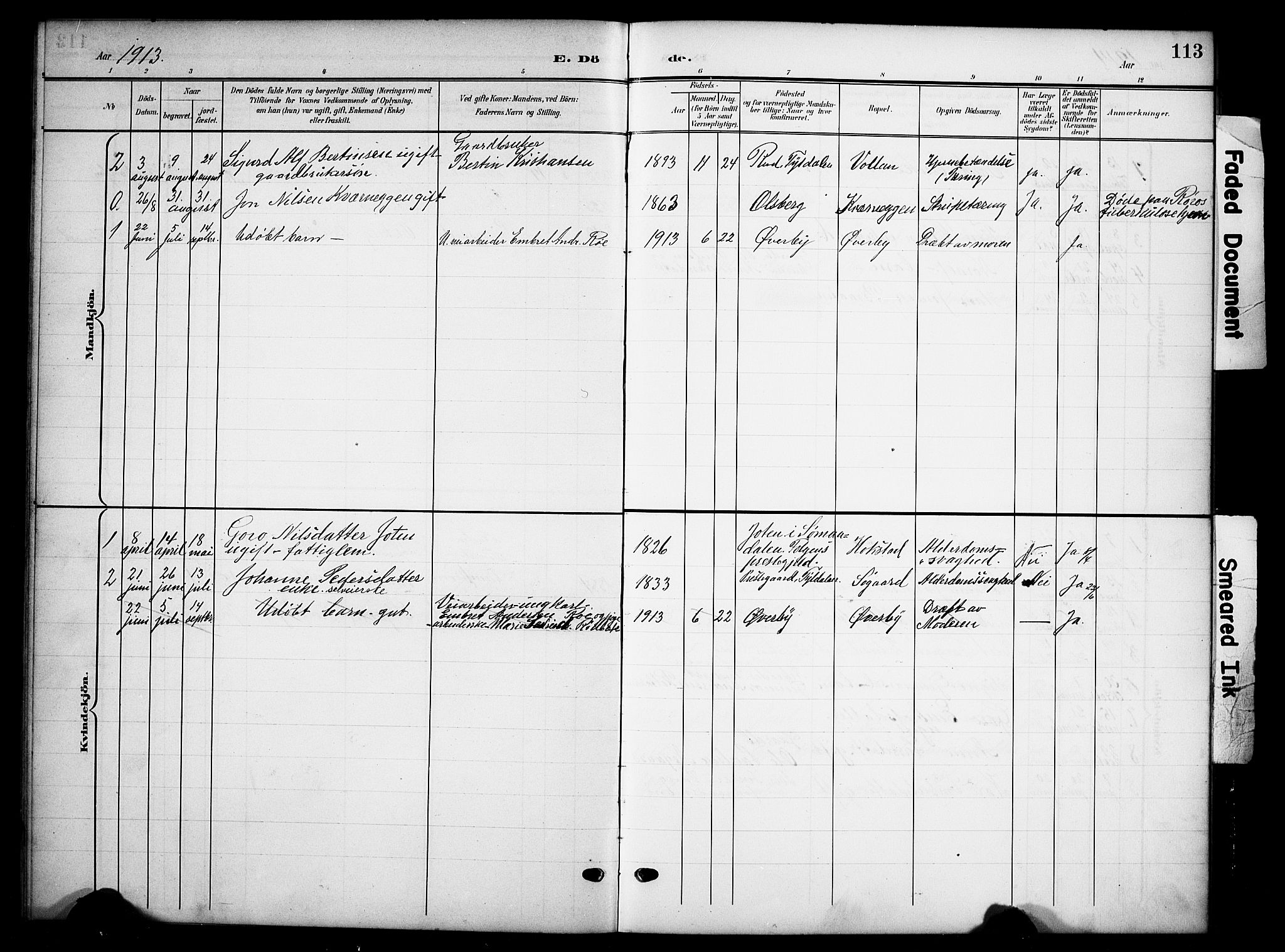 Tynset prestekontor, AV/SAH-PREST-058/H/Ha/Hab/L0010: Klokkerbok nr. 10, 1902-1929, s. 113