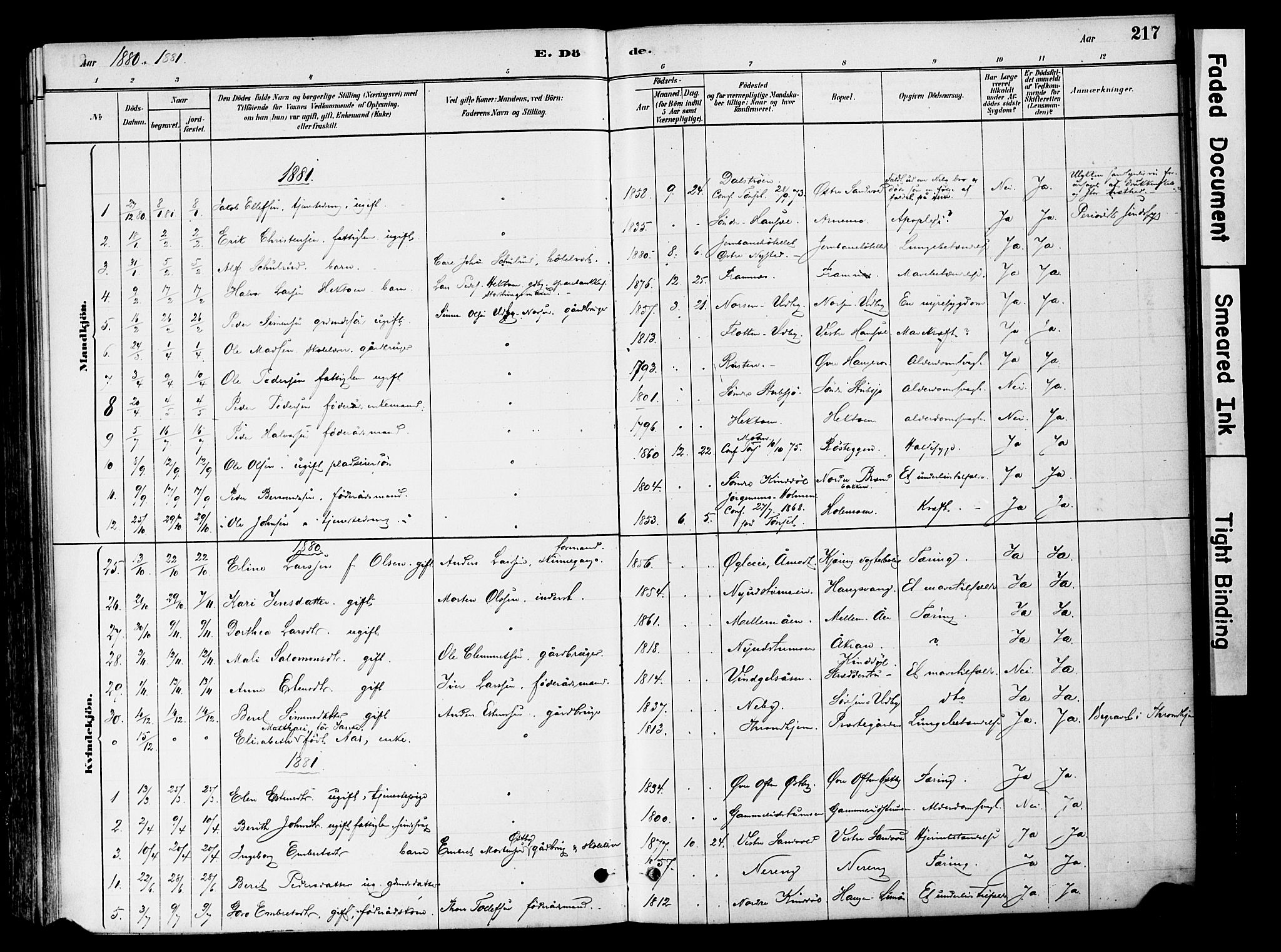 Tynset prestekontor, SAH/PREST-058/H/Ha/Haa/L0022: Ministerialbok nr. 22, 1880-1899, s. 217