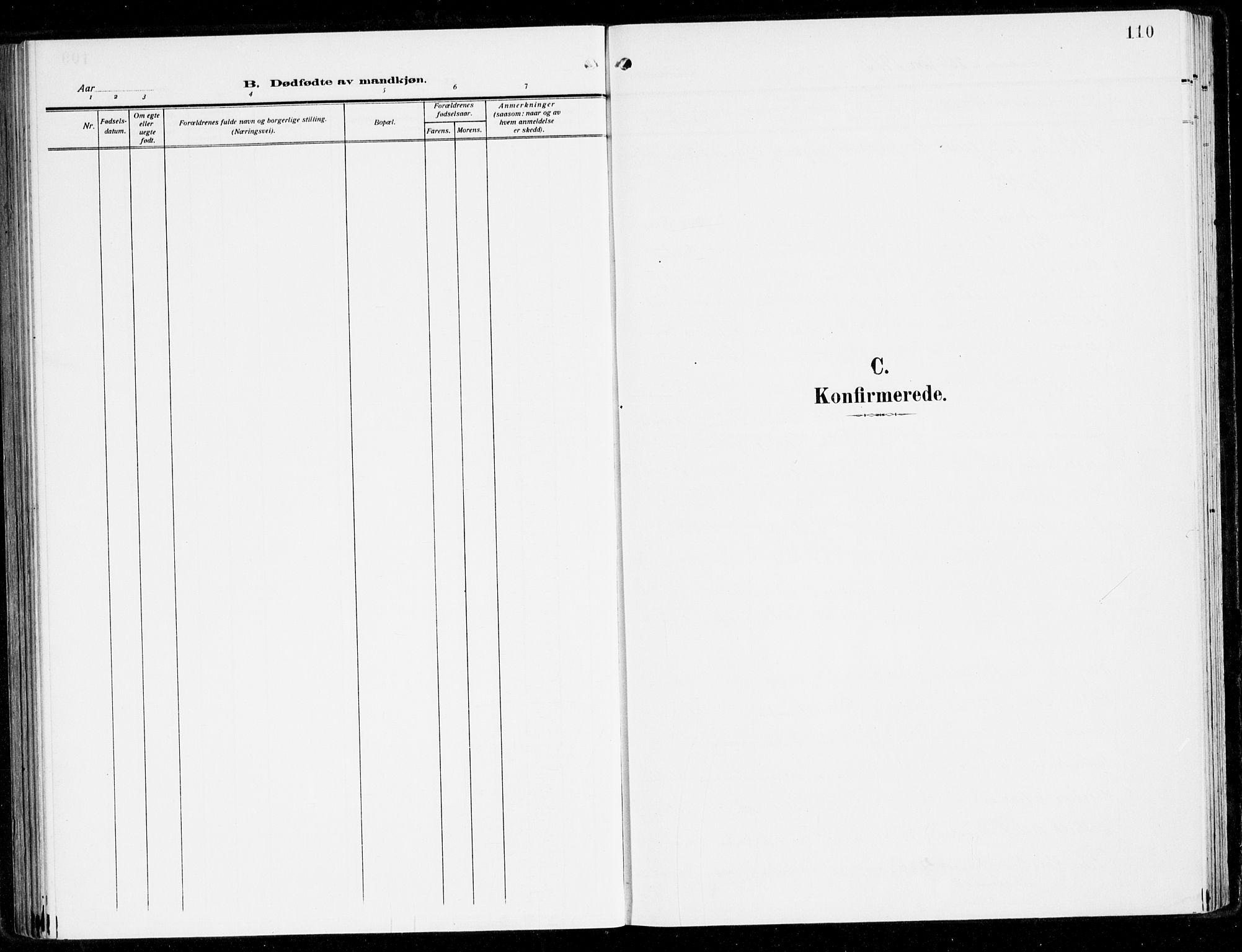 Fana Sokneprestembete, SAB/A-75101/H/Haa/Haai/L0004: Ministerialbok nr. I 4, 1912-1933, s. 110