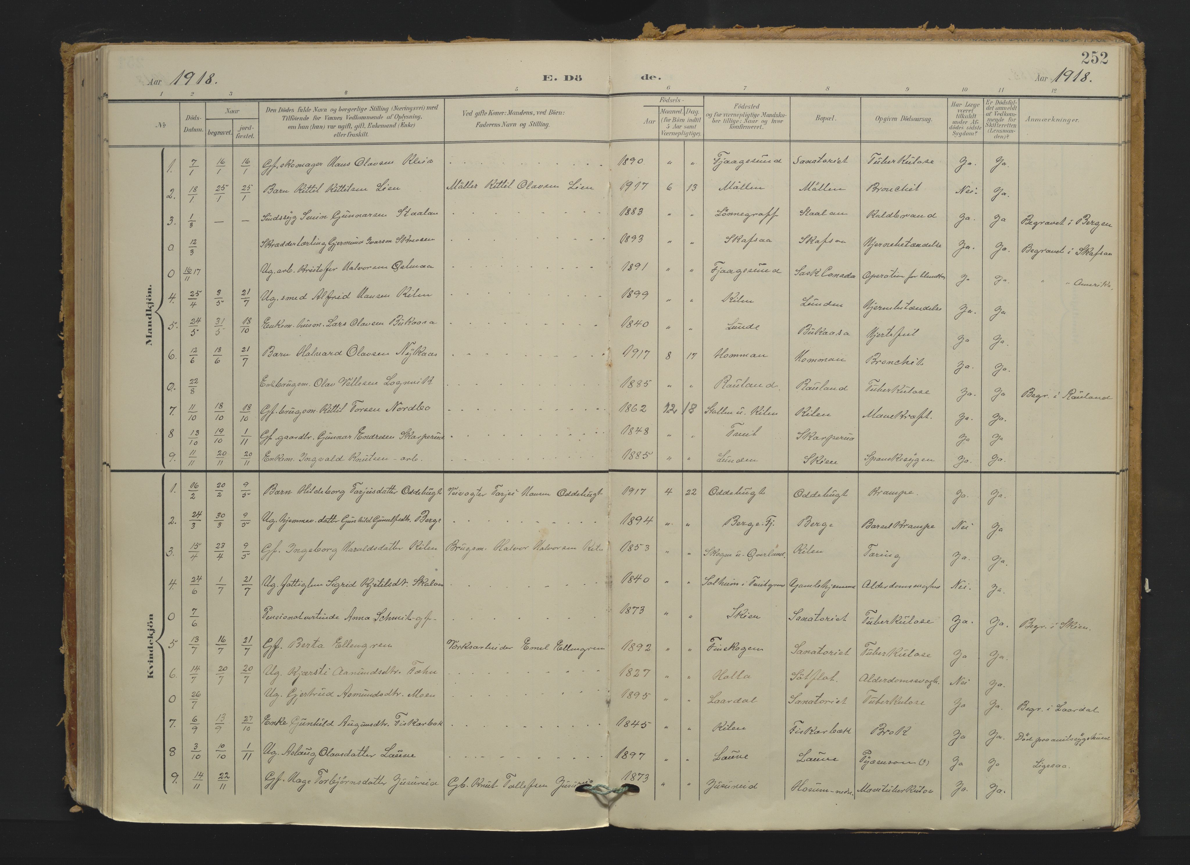 Kviteseid kirkebøker, AV/SAKO-A-276/F/Fa/L0009: Ministerialbok nr. I 9, 1903-1934, s. 252