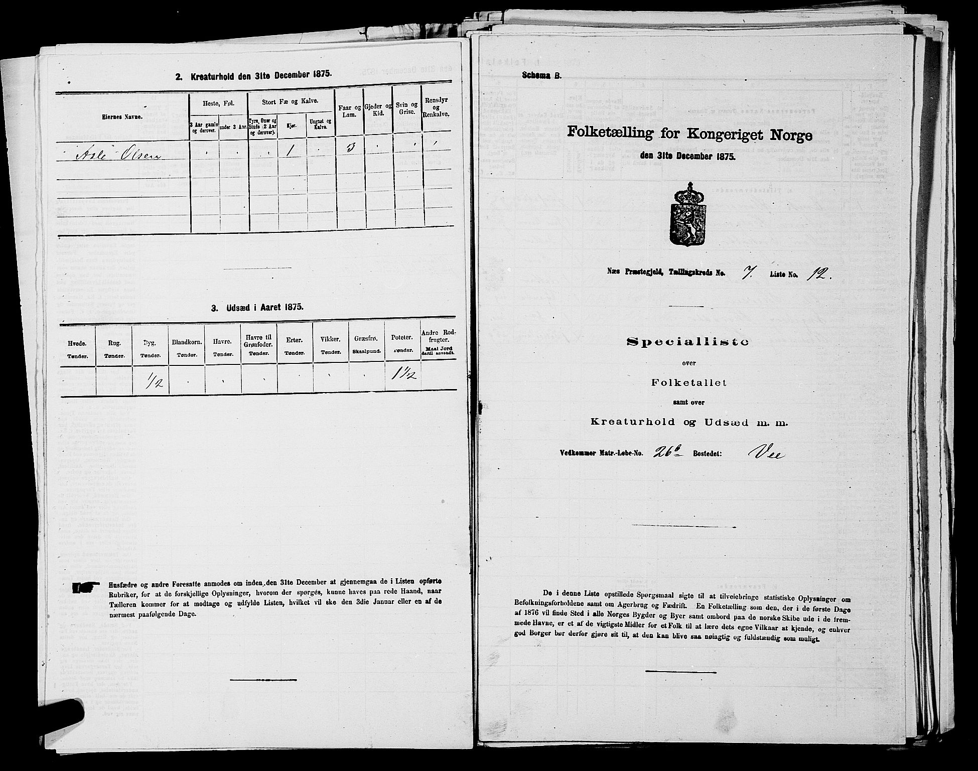 SAKO, Folketelling 1875 for 0616P Nes prestegjeld, 1875, s. 1180