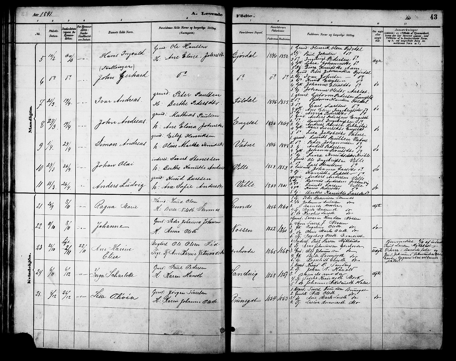 Ministerialprotokoller, klokkerbøker og fødselsregistre - Møre og Romsdal, AV/SAT-A-1454/513/L0189: Klokkerbok nr. 513C03, 1883-1904, s. 43