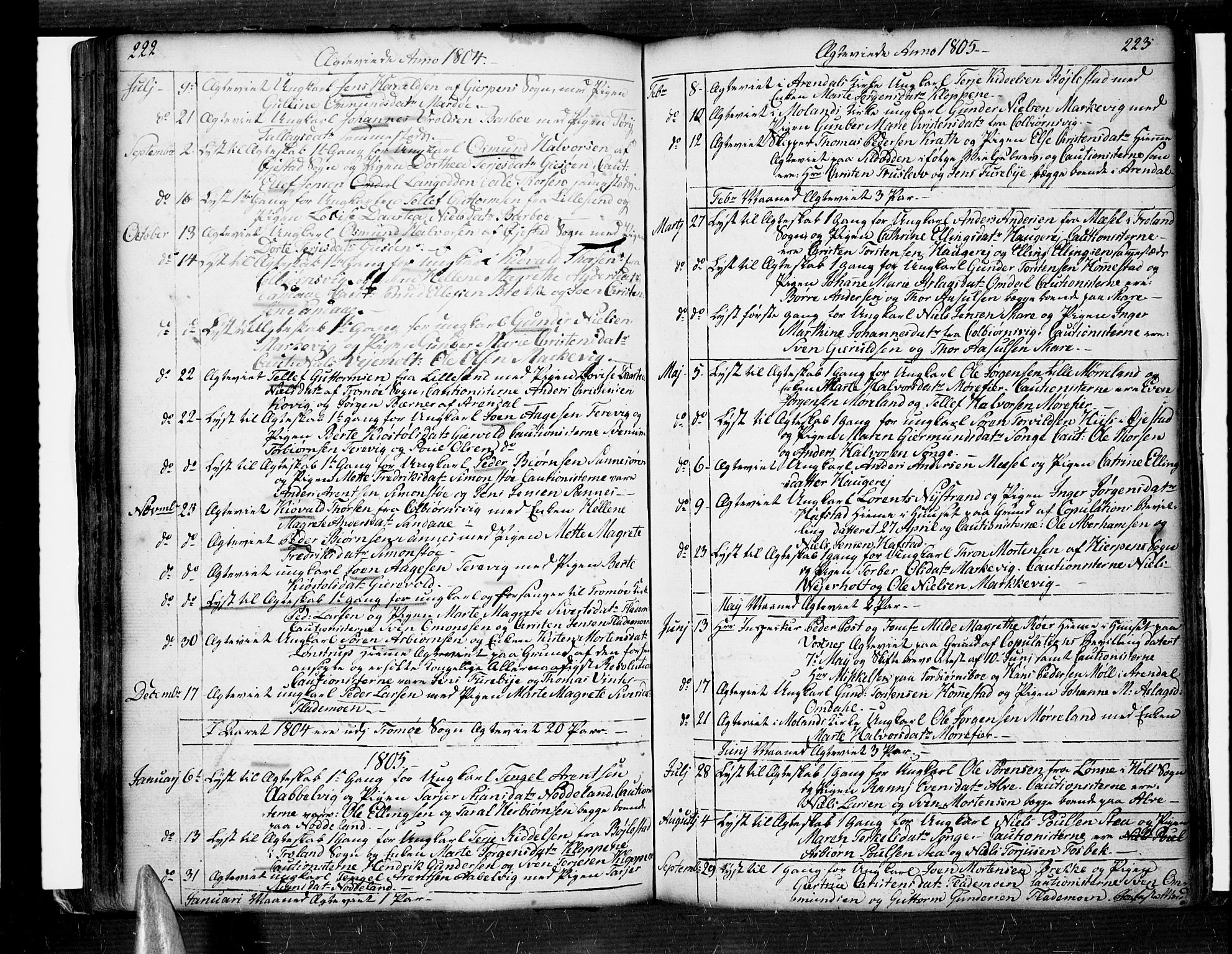 Tromøy sokneprestkontor, AV/SAK-1111-0041/F/Fa/L0002: Ministerialbok nr. A 2, 1773-1808, s. 222-223