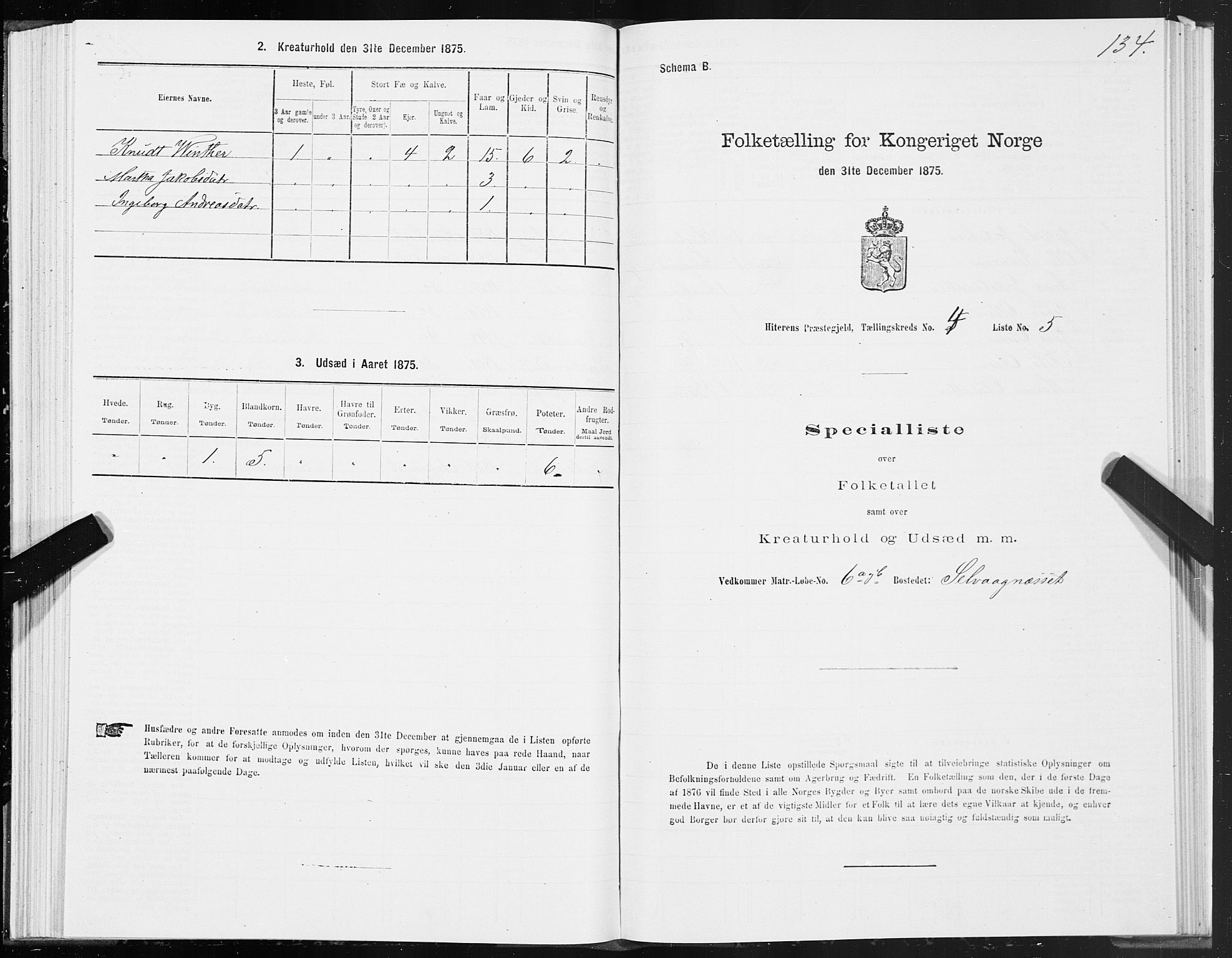 SAT, Folketelling 1875 for 1617P Hitra prestegjeld, 1875, s. 2134