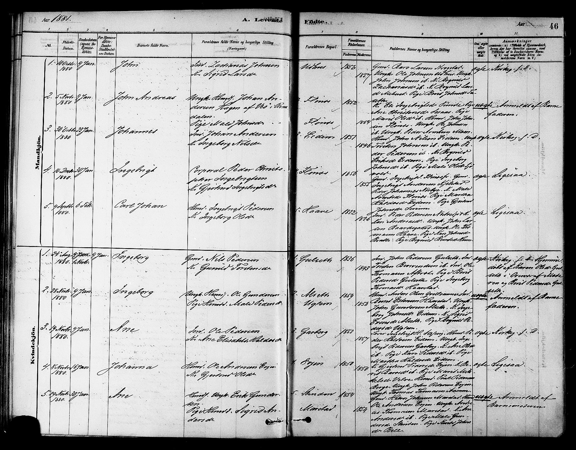 Ministerialprotokoller, klokkerbøker og fødselsregistre - Sør-Trøndelag, SAT/A-1456/695/L1148: Ministerialbok nr. 695A08, 1878-1891, s. 46