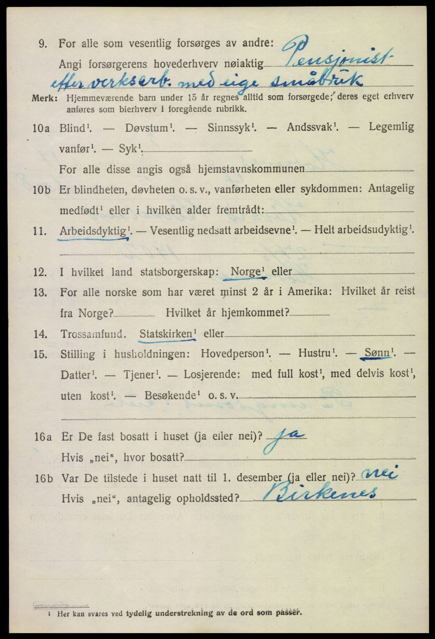 SAK, Folketelling 1920 for 0936 Hornnes herred, 1920, s. 1176